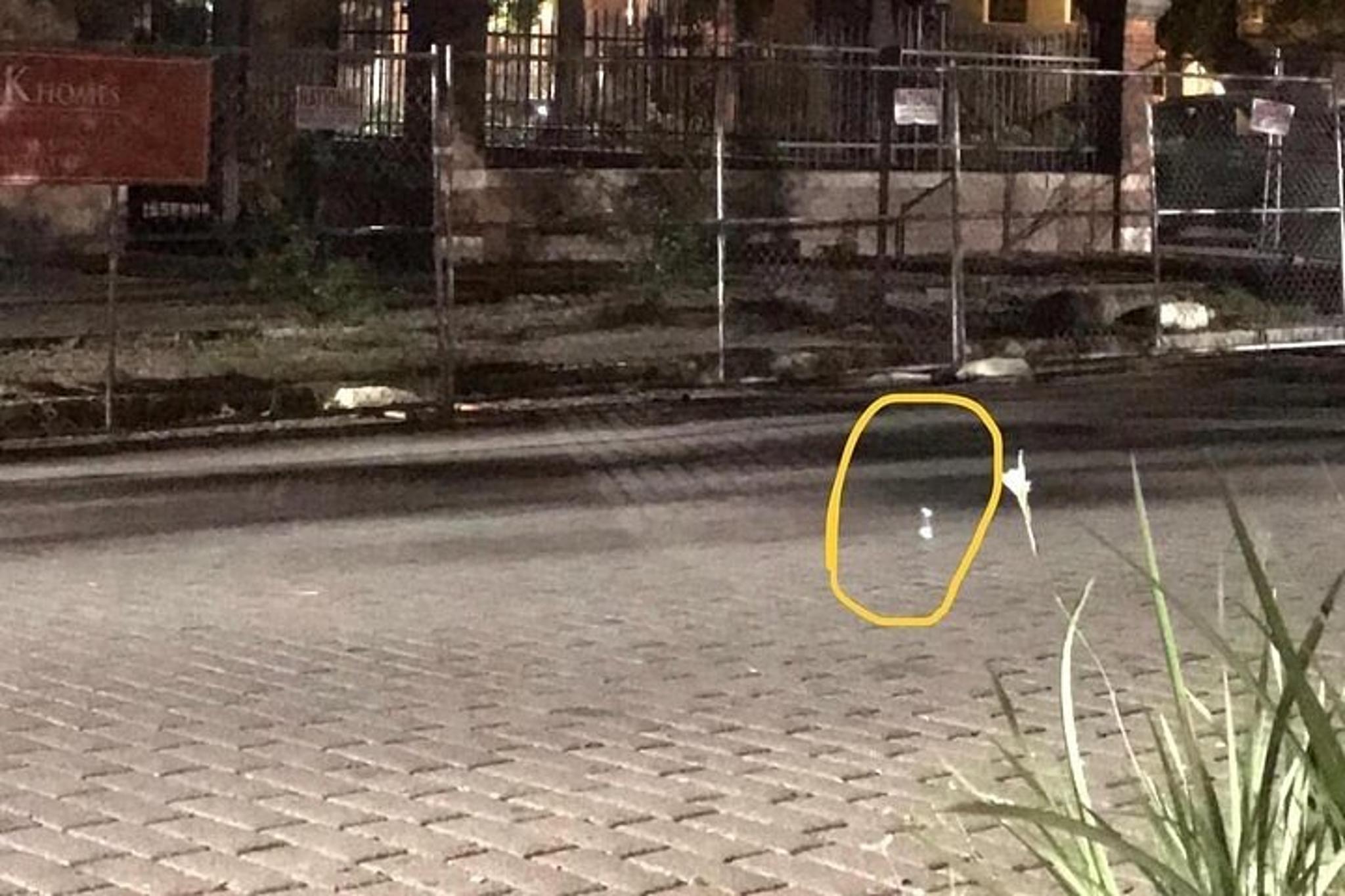 Helen Ghost Tour with Paranormal Equipment 90 min - Image 5