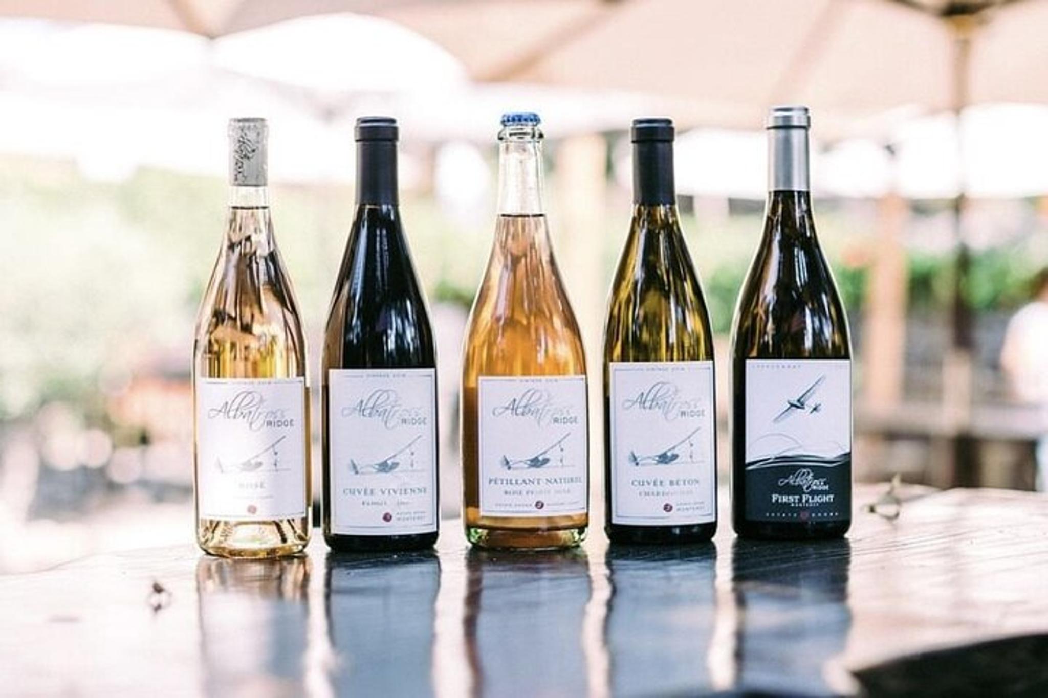 Carmel Valley Electric Bike Tour & Wine Tasting - Image 5