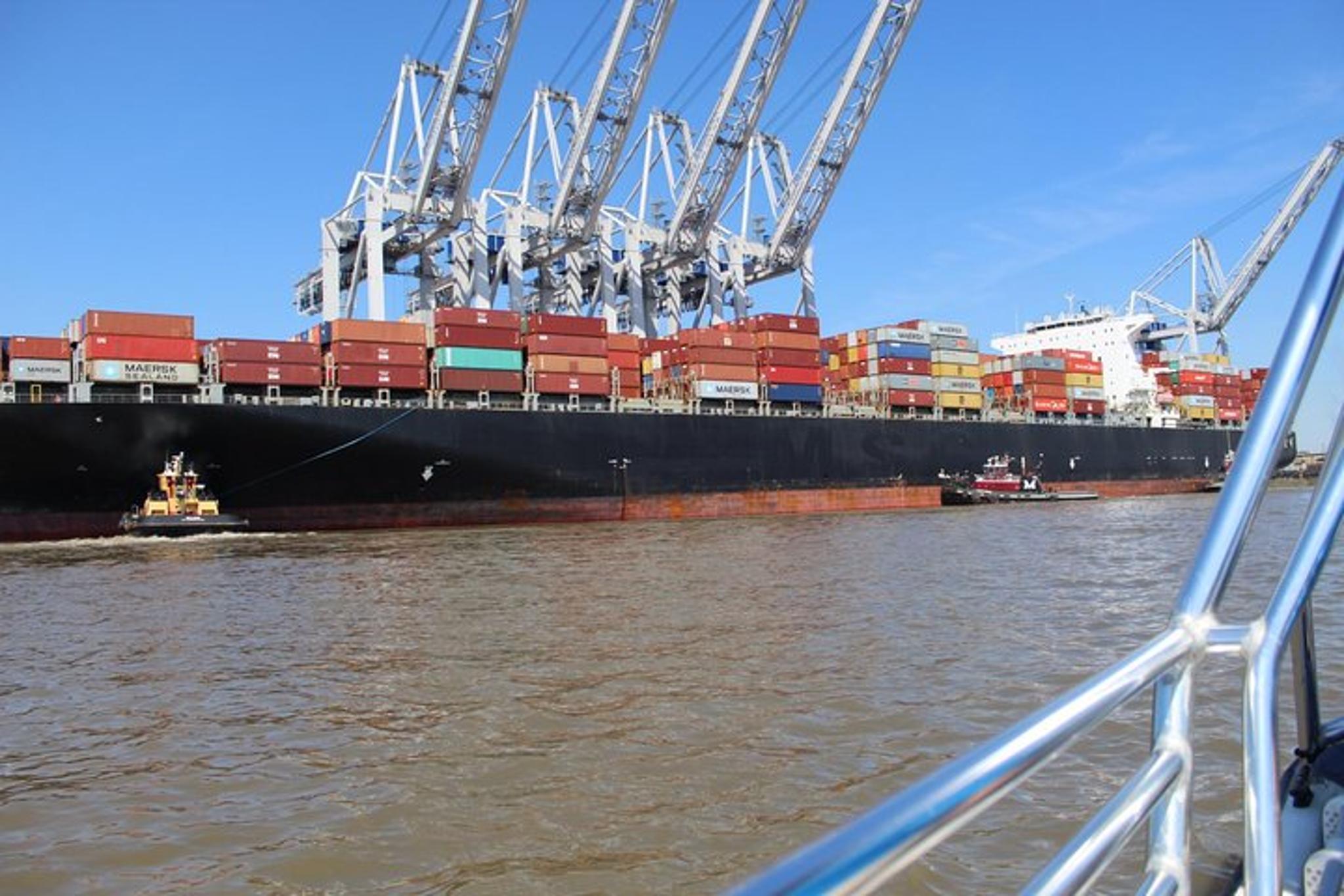 Savannah Dolphin Eco Tour - Image 5