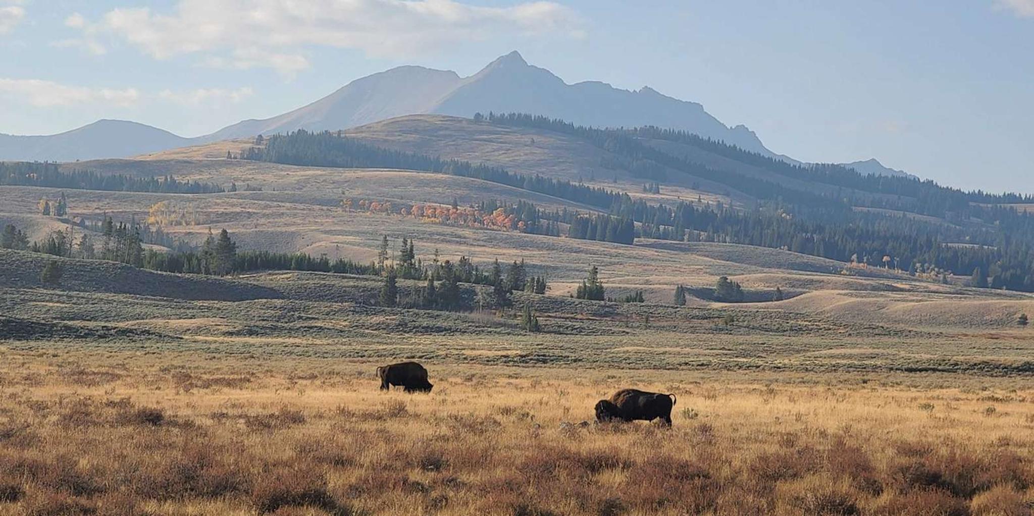 Bozeman Yellowstone and Grand Teton National Park Tour - Image 6