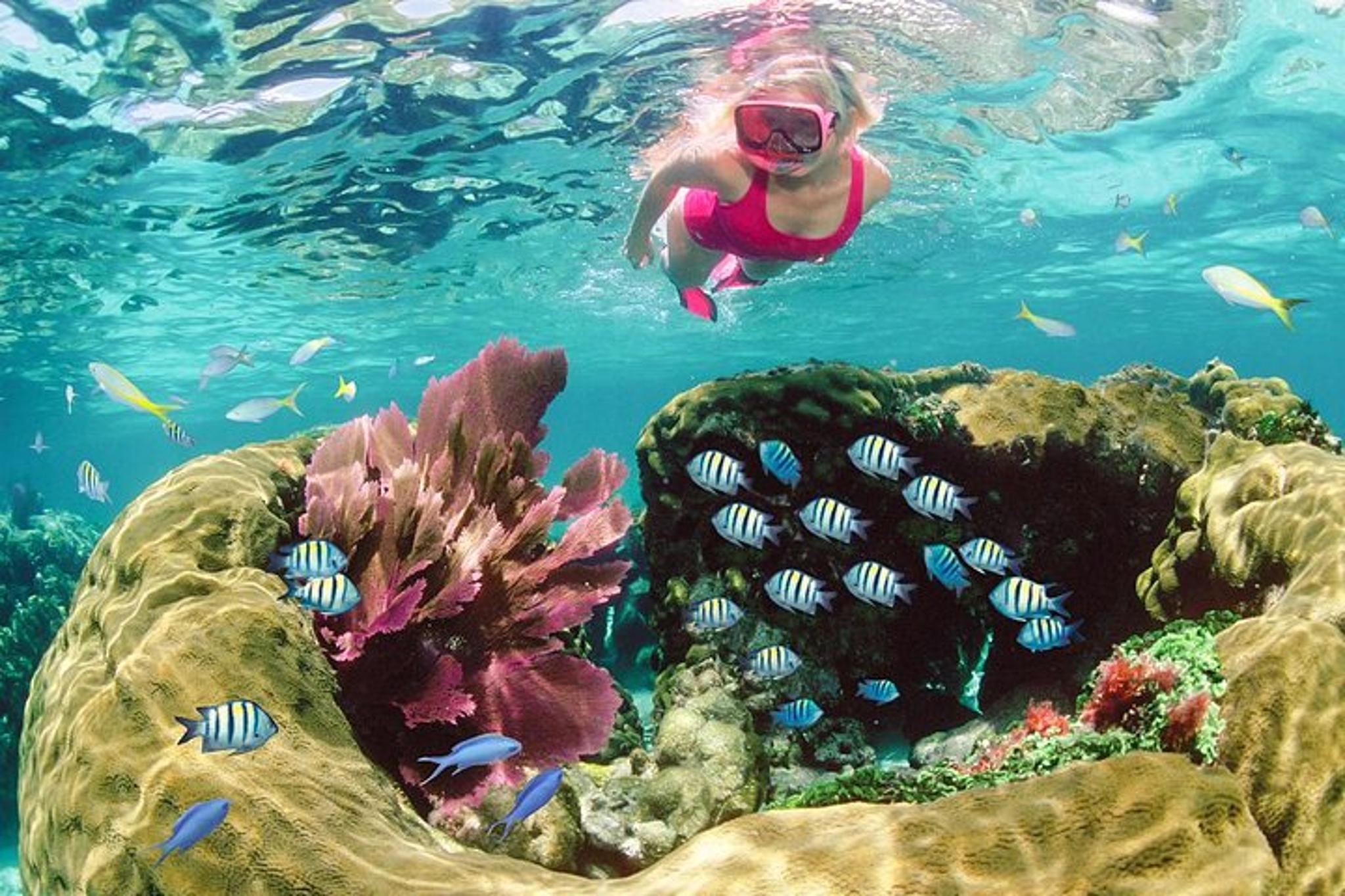 Key Largo Snorkeling Tour - Image 2
