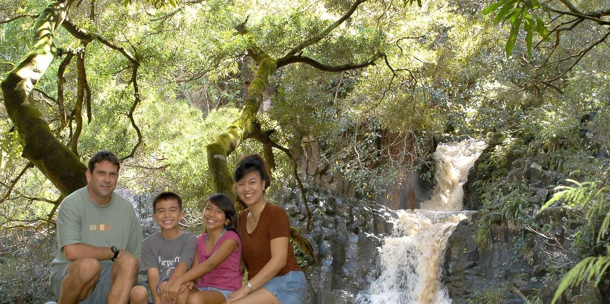 Maui Rainforest and Waterfall Walk & Swim - Image 6