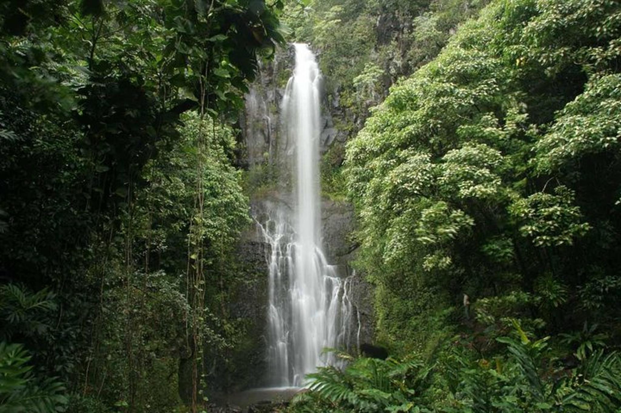 Lahaina Road to Hana Slingshot Adventure - Image 5
