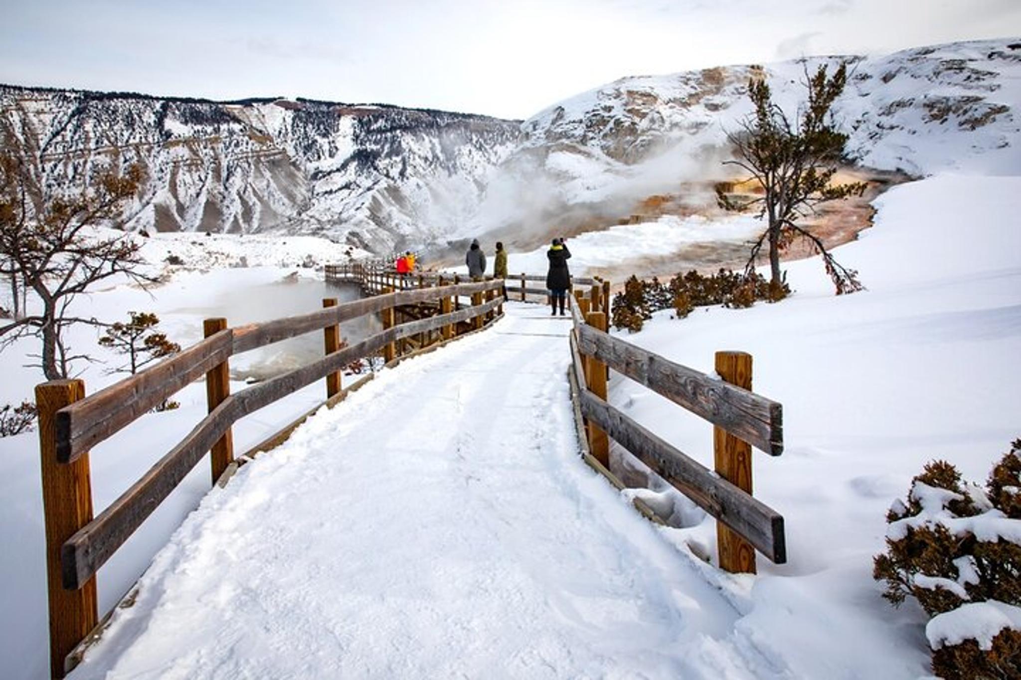 Yellowstone National Park Winter Wildlife Safari - Image 2