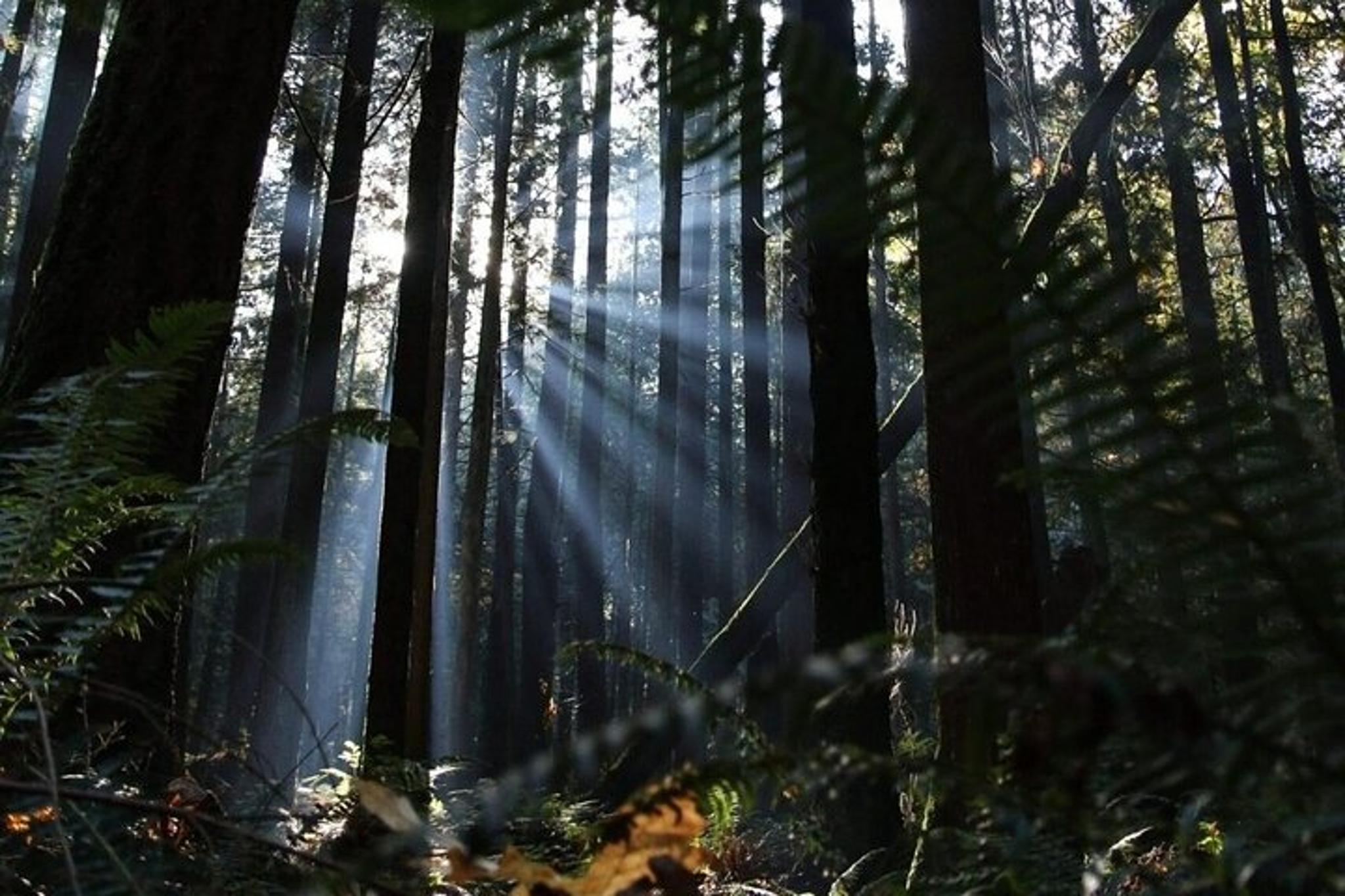 Bellingham Border Corner Tour - Image 2