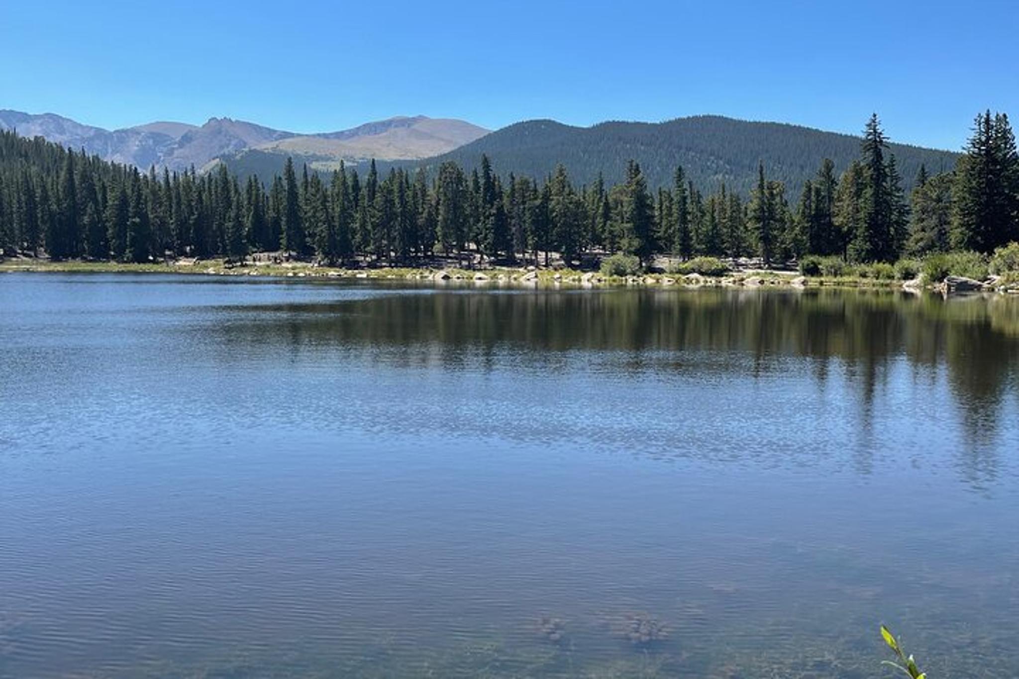 Golden Foothills Explorer Tour 4 hr - Image 6