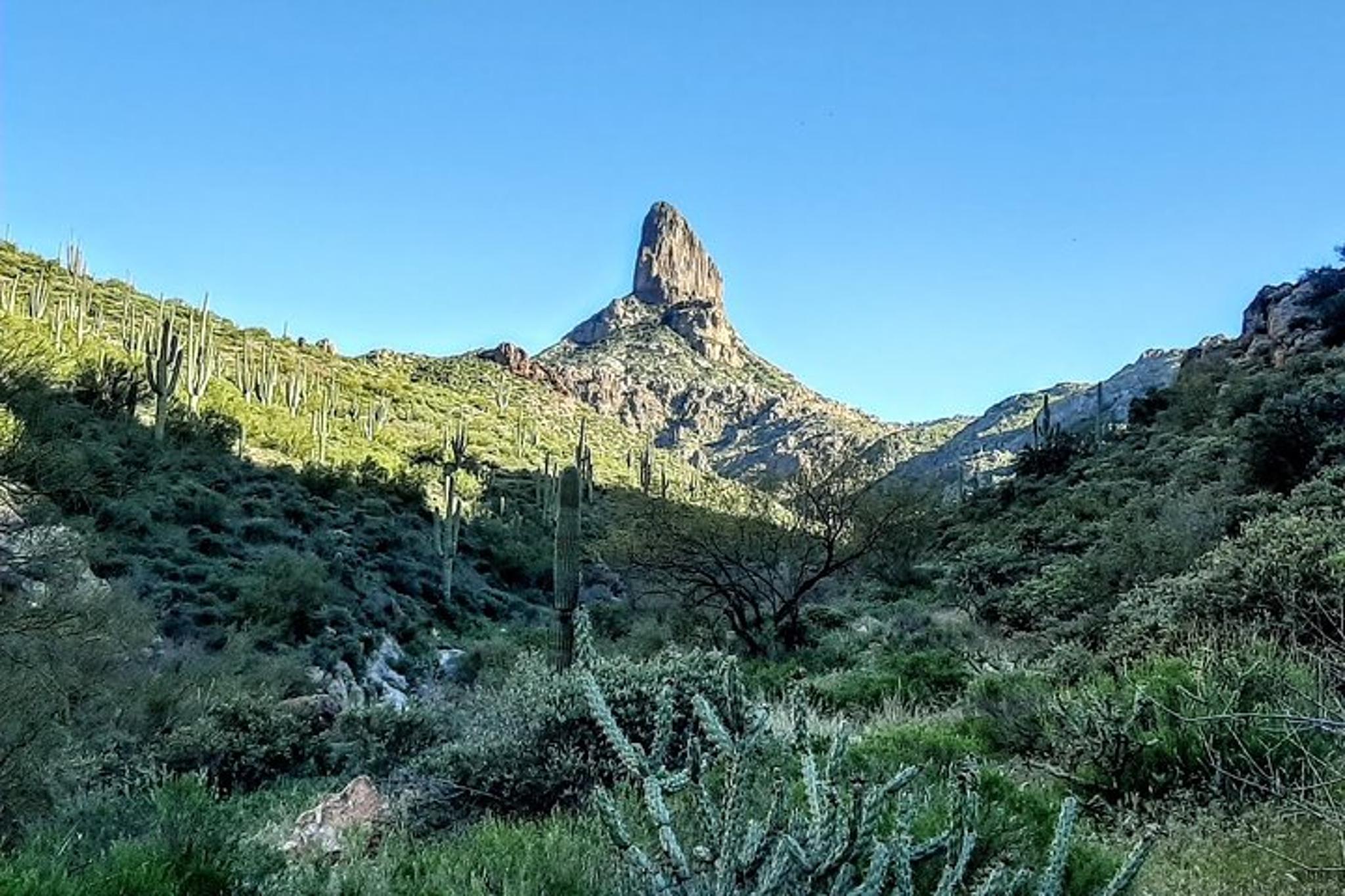 Phoenix Wilderness Hiking Tour