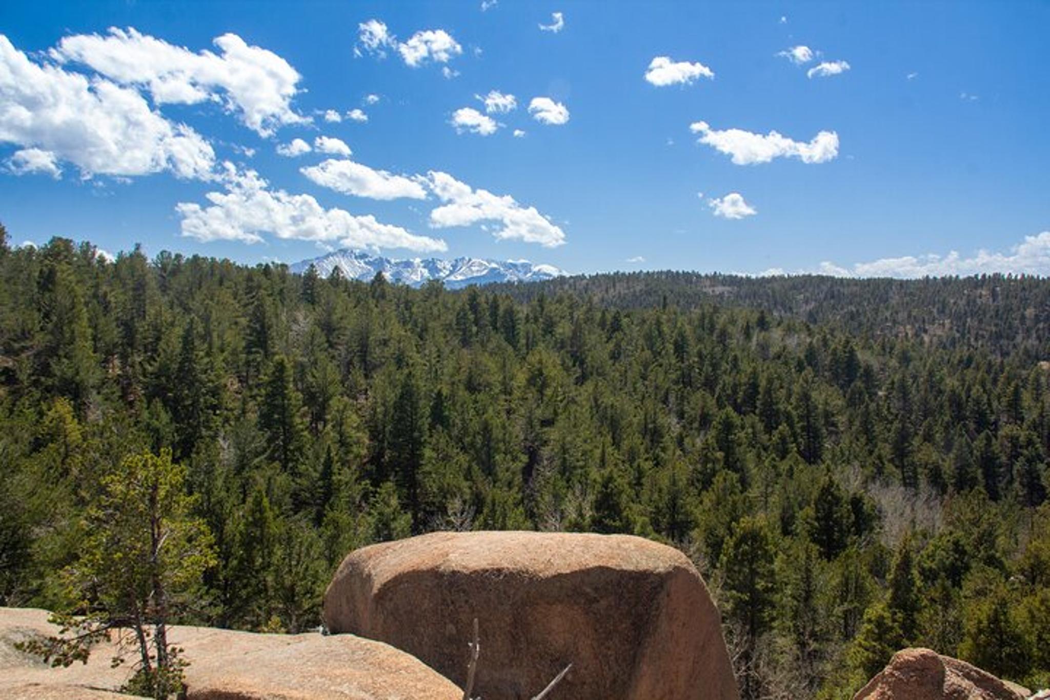 Colorado Springs Backcountry Adventure Tour - Image 6