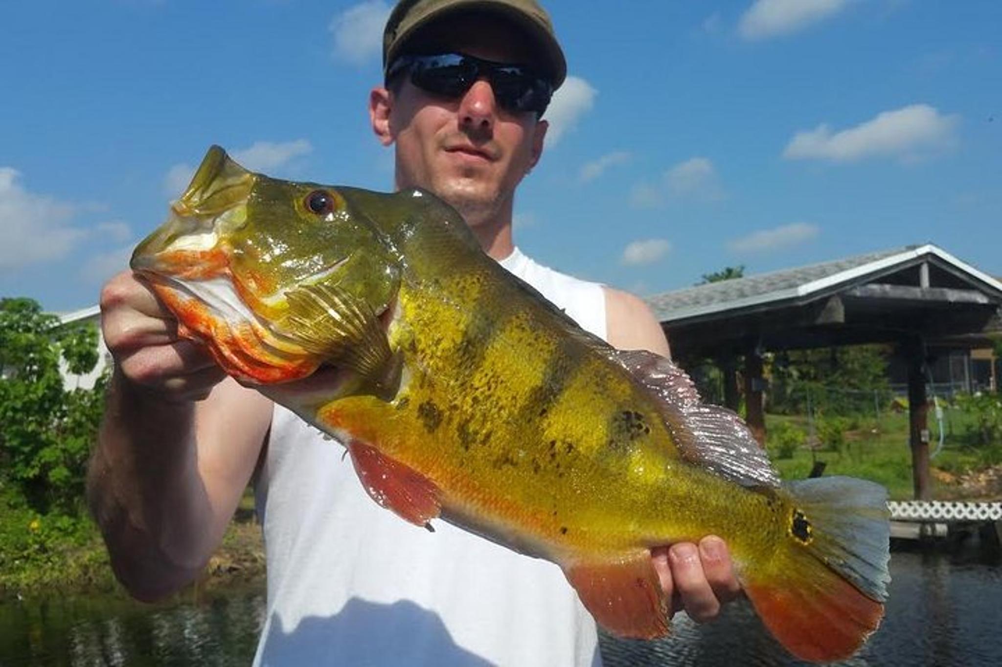 Boynton Beach Peacock Bass Fishing Trip - Image 2