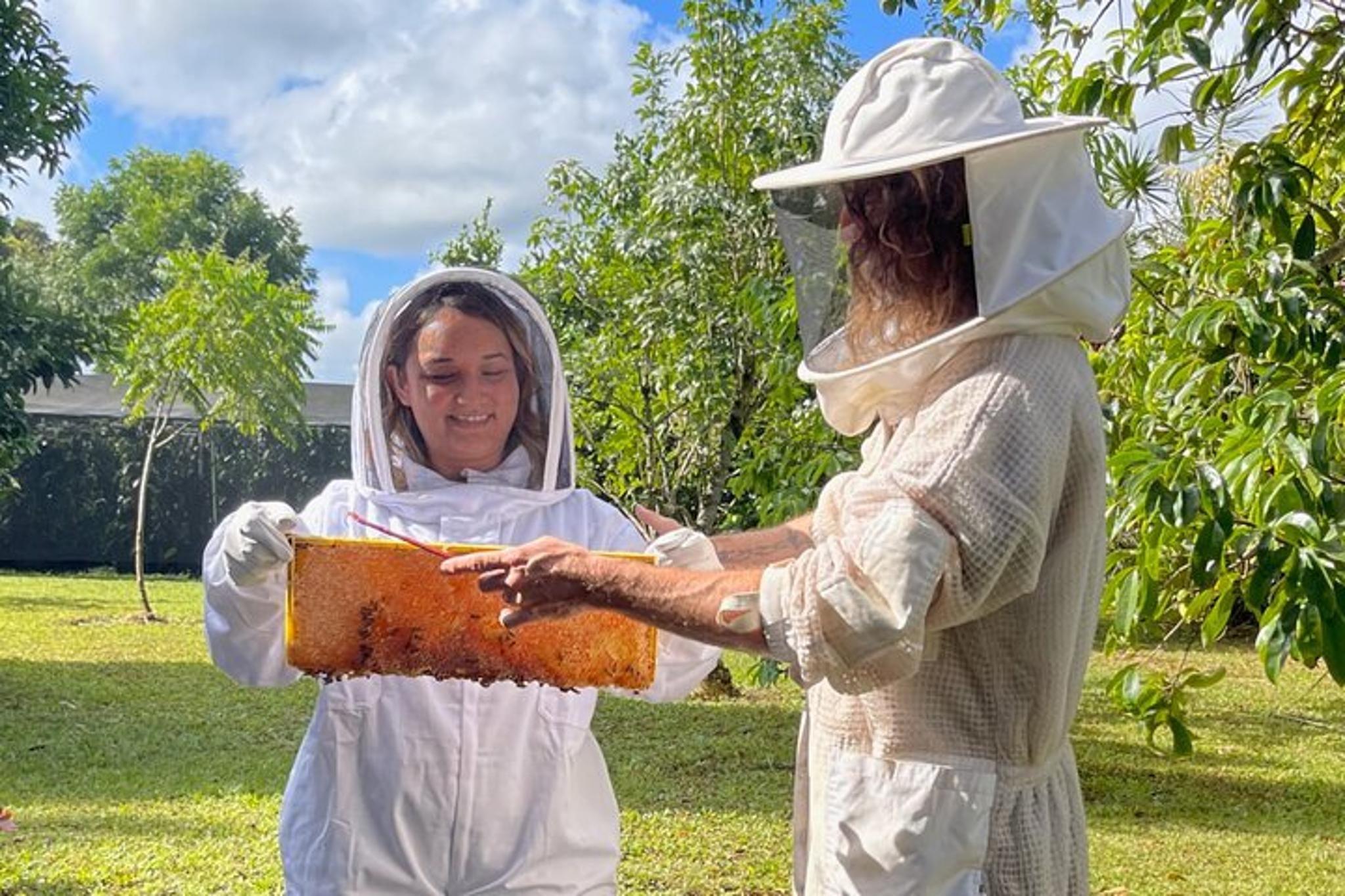Kauai Honey and Bee Tour - Image 3