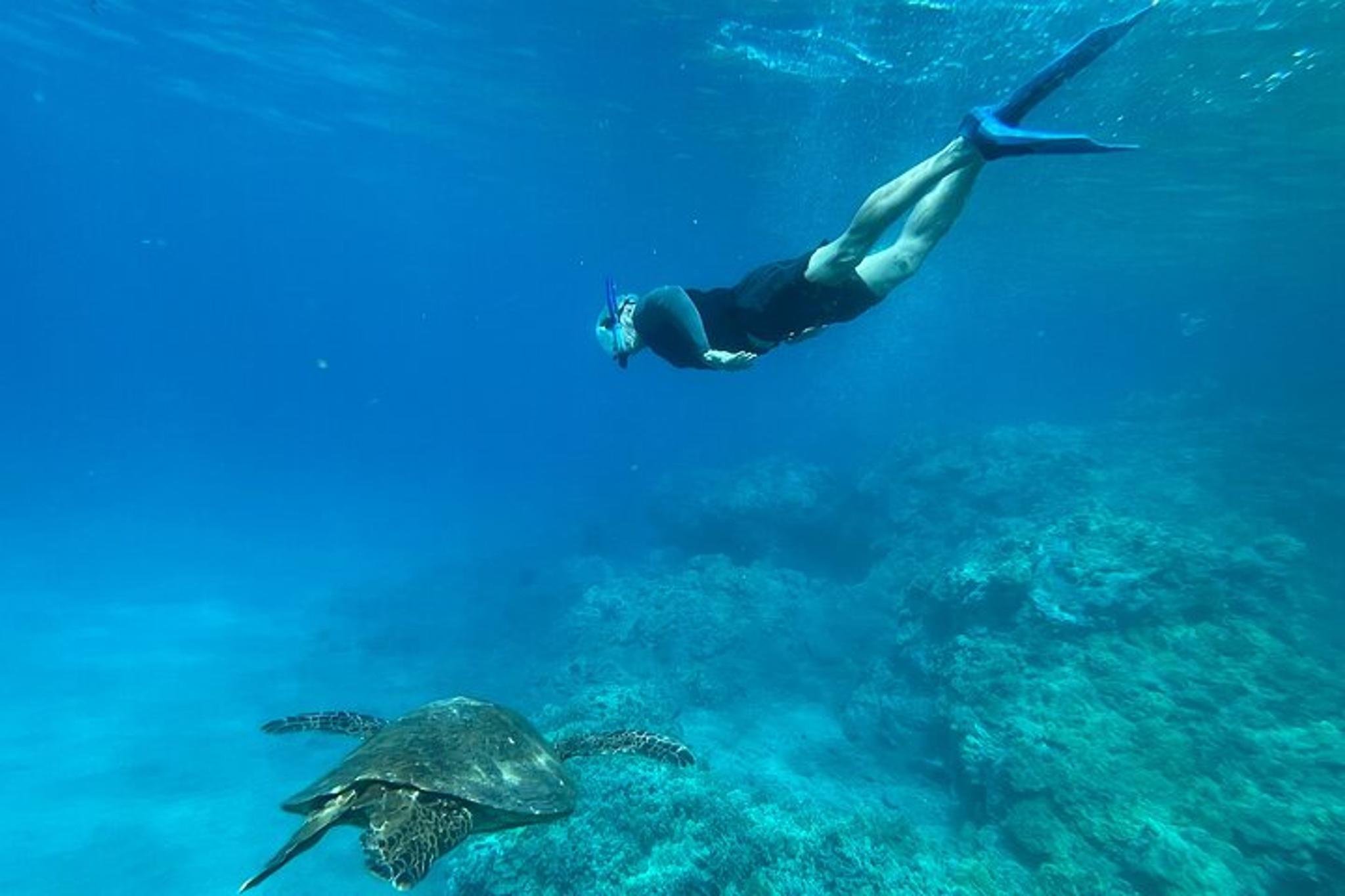 Maui Snorkeling Tour with Photos 2.5 hr - Image 5
