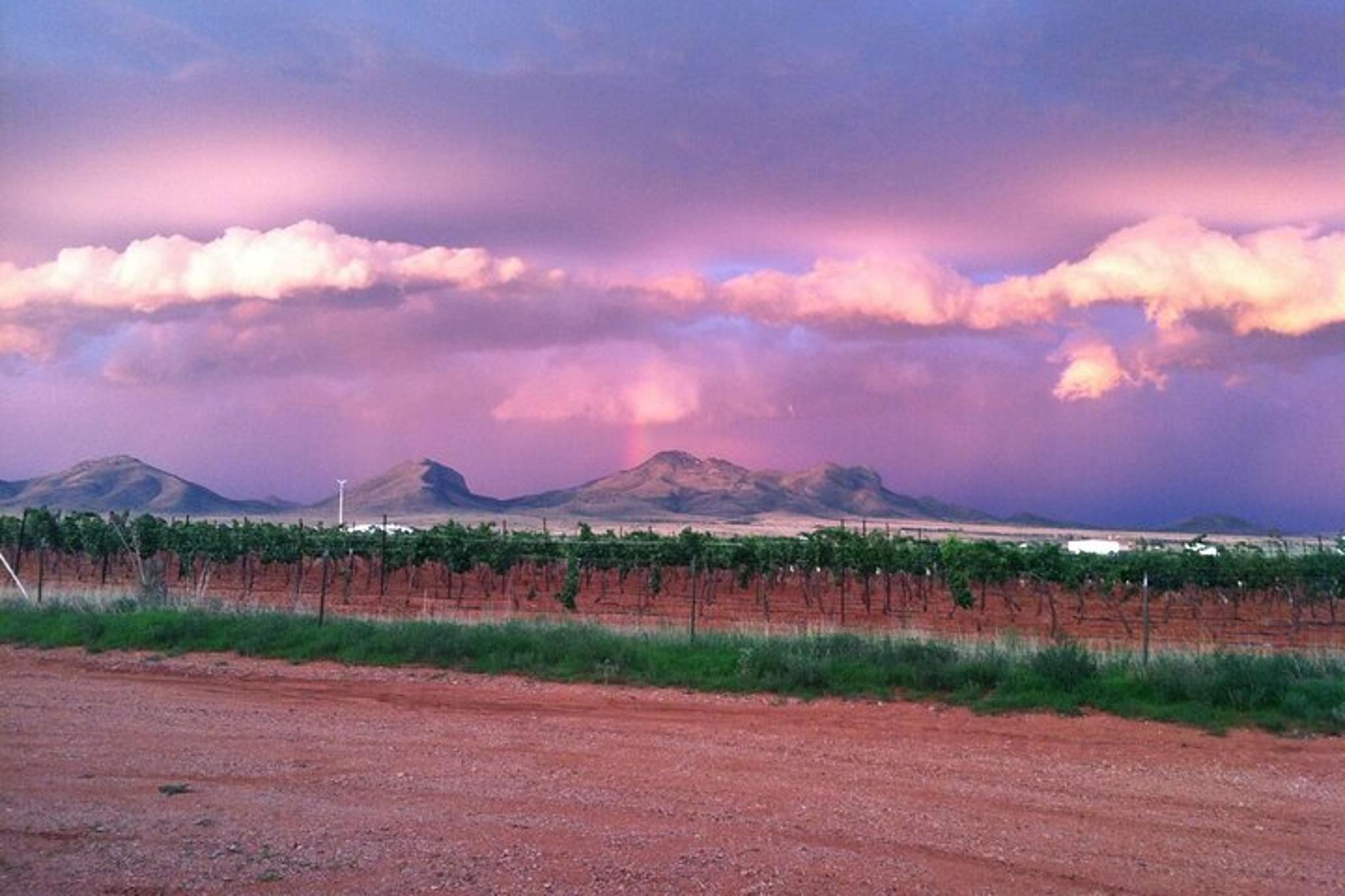 Tucson Wine Tasting Experience - Image 1