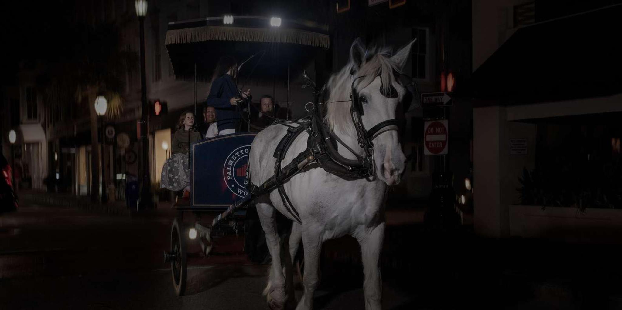 Charleston Haunted Horse-Drawn Carriage Evening Tour - Image 3