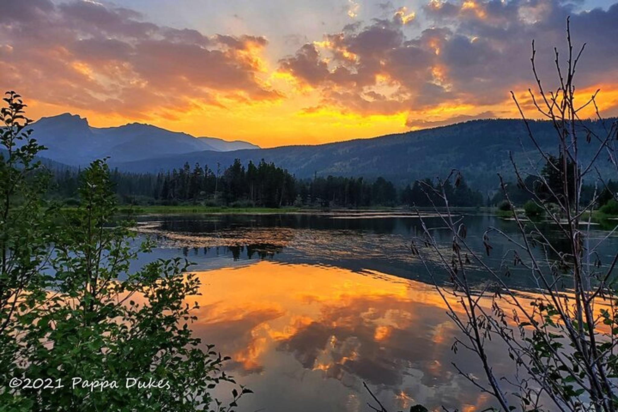 Rocky Mountain Wildlife Tour at Sunset - Image 2