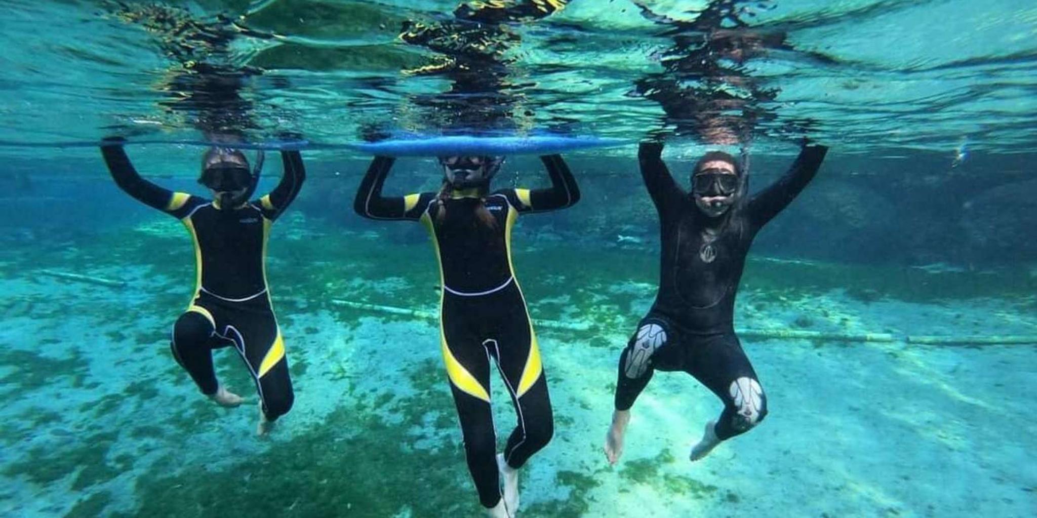 Crystal River Manatee Snorkeling Tour