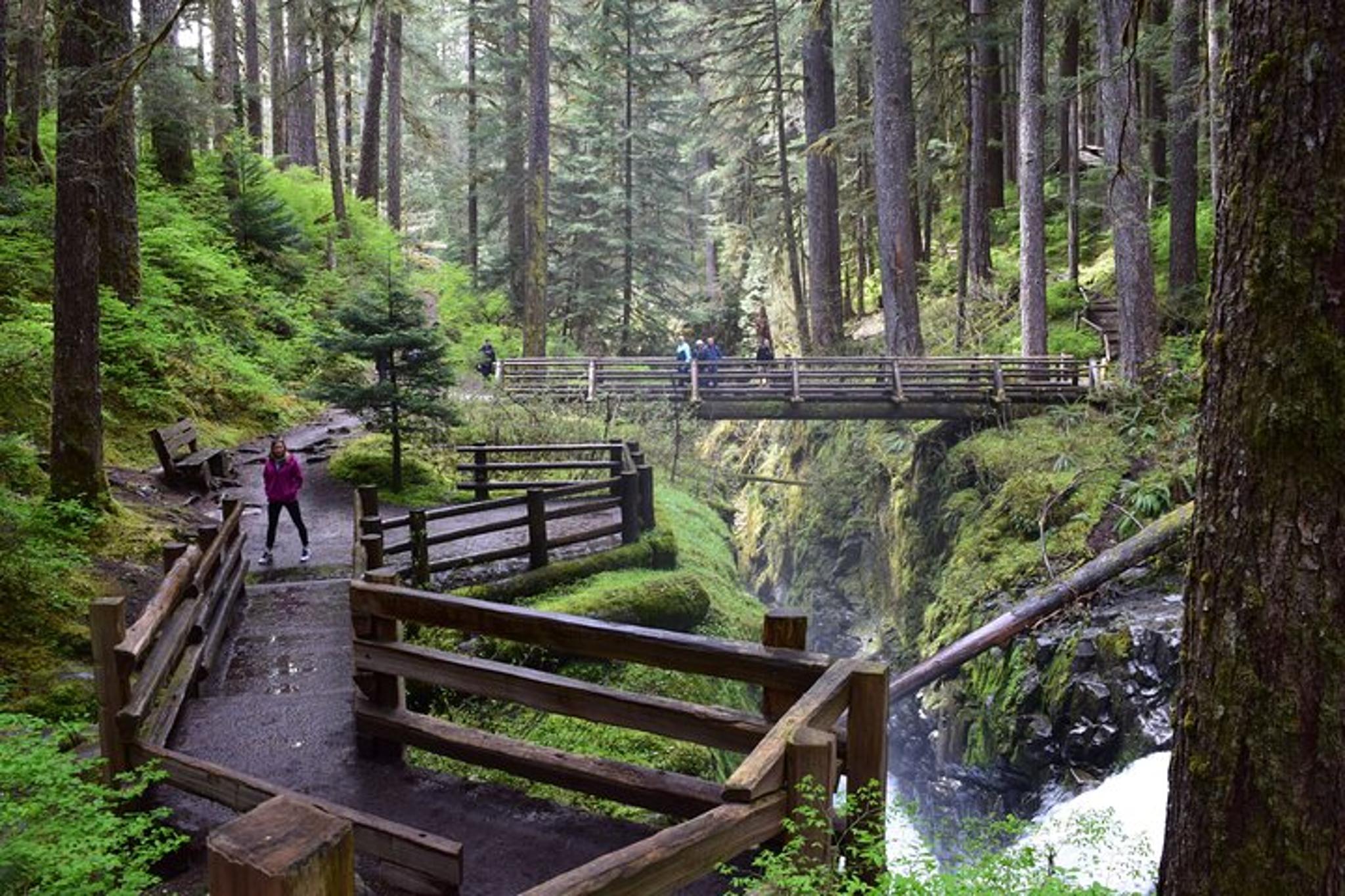 Olympic National Park Guided Tour - Image 3