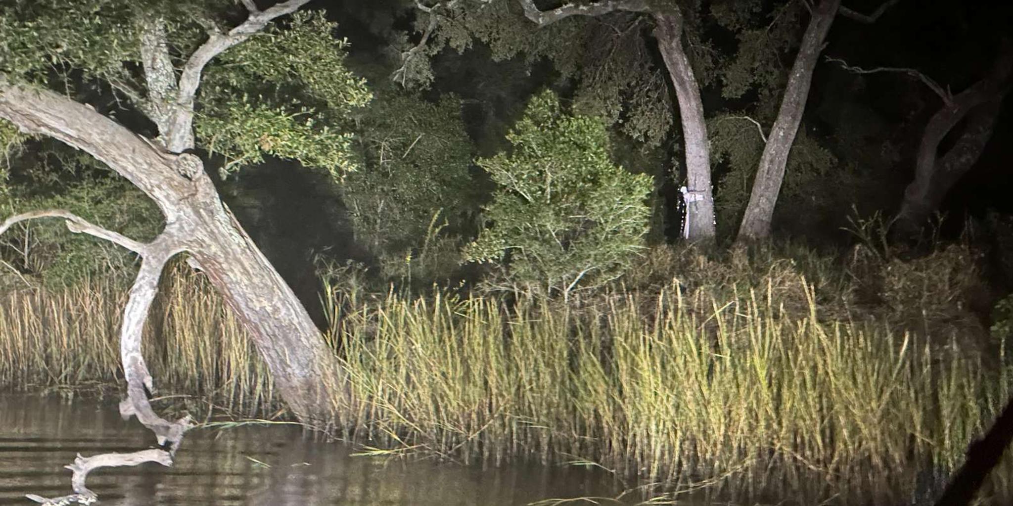 Pearlington Creepy Christmas Cruise with Santa - Image 6