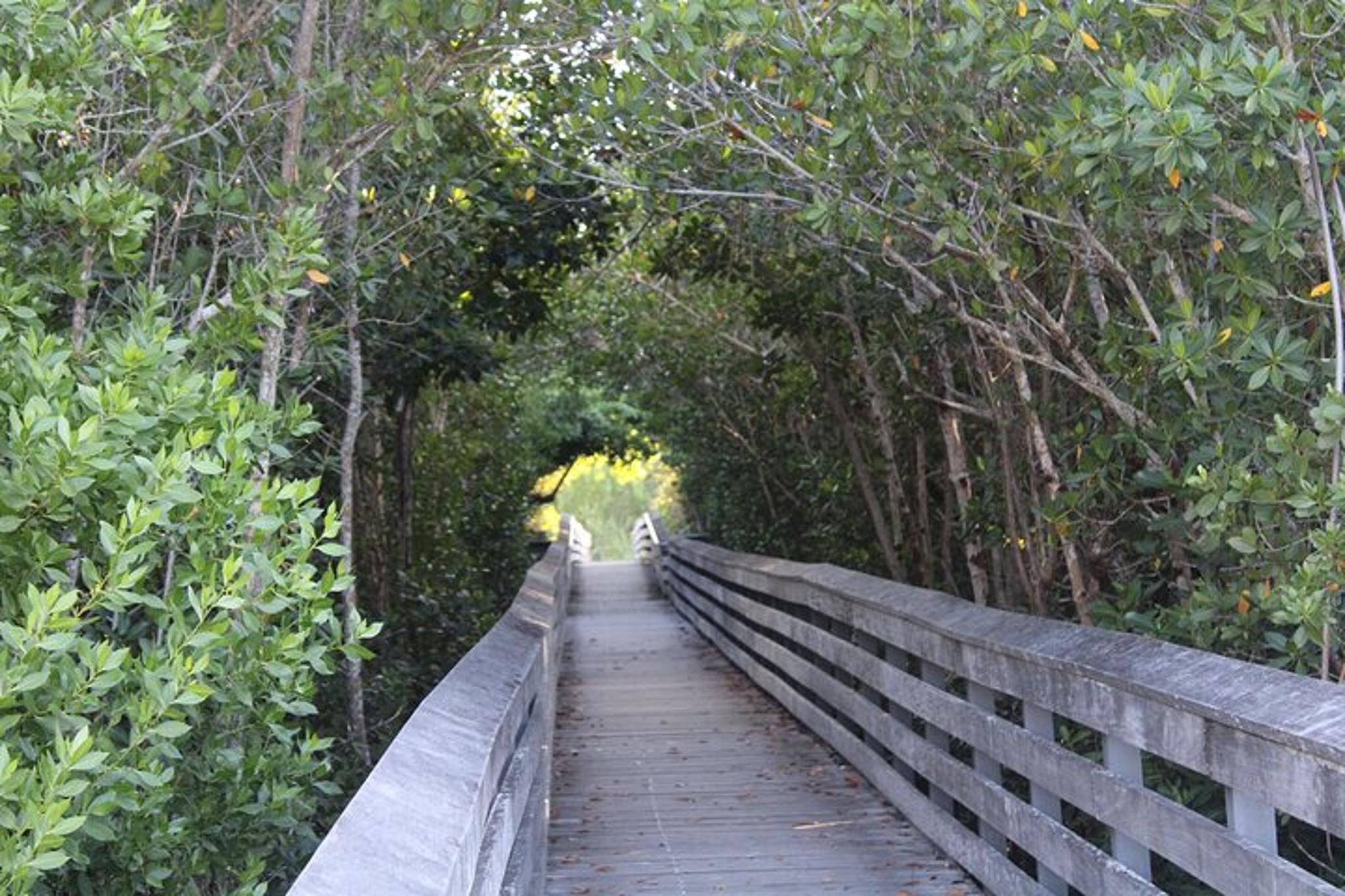 Marco Island Photography Tour - Image 2