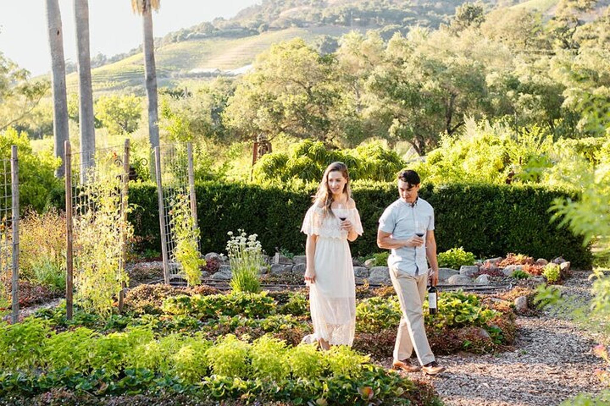 Sonoma Wine Tour Private Black Car 6 hr