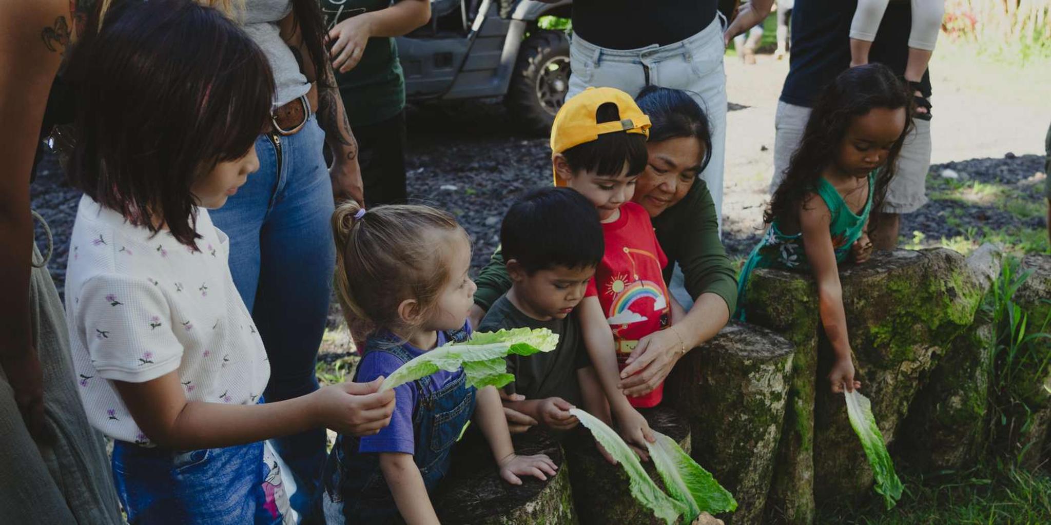 Pahoa Ranch Tour with Animal Interactions - Image 5