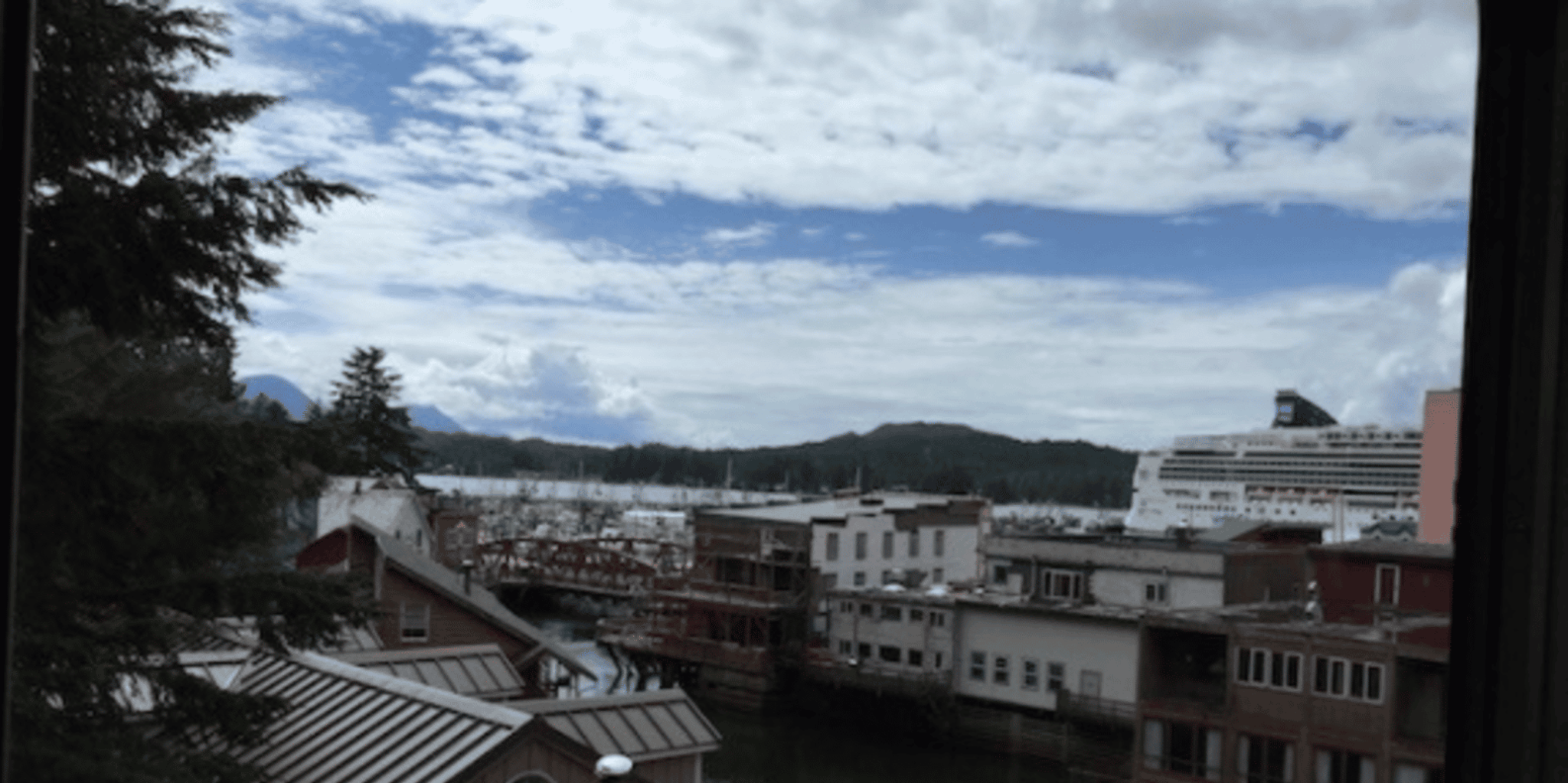 Ketchikan City Tour and Potlatch Totem Park - Image 2