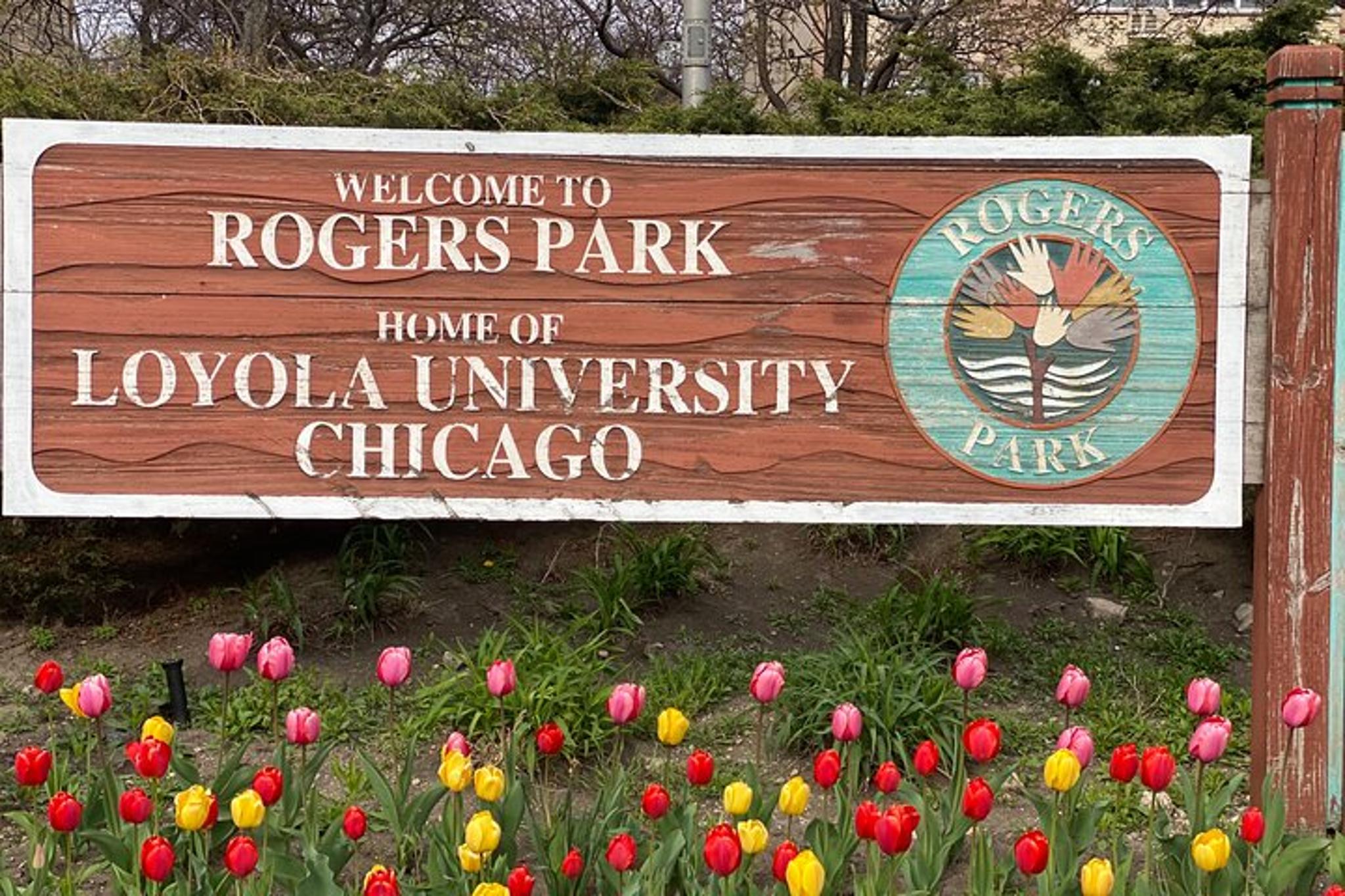 Chicago Neighborhoods Tour: North and South Side - Image 5