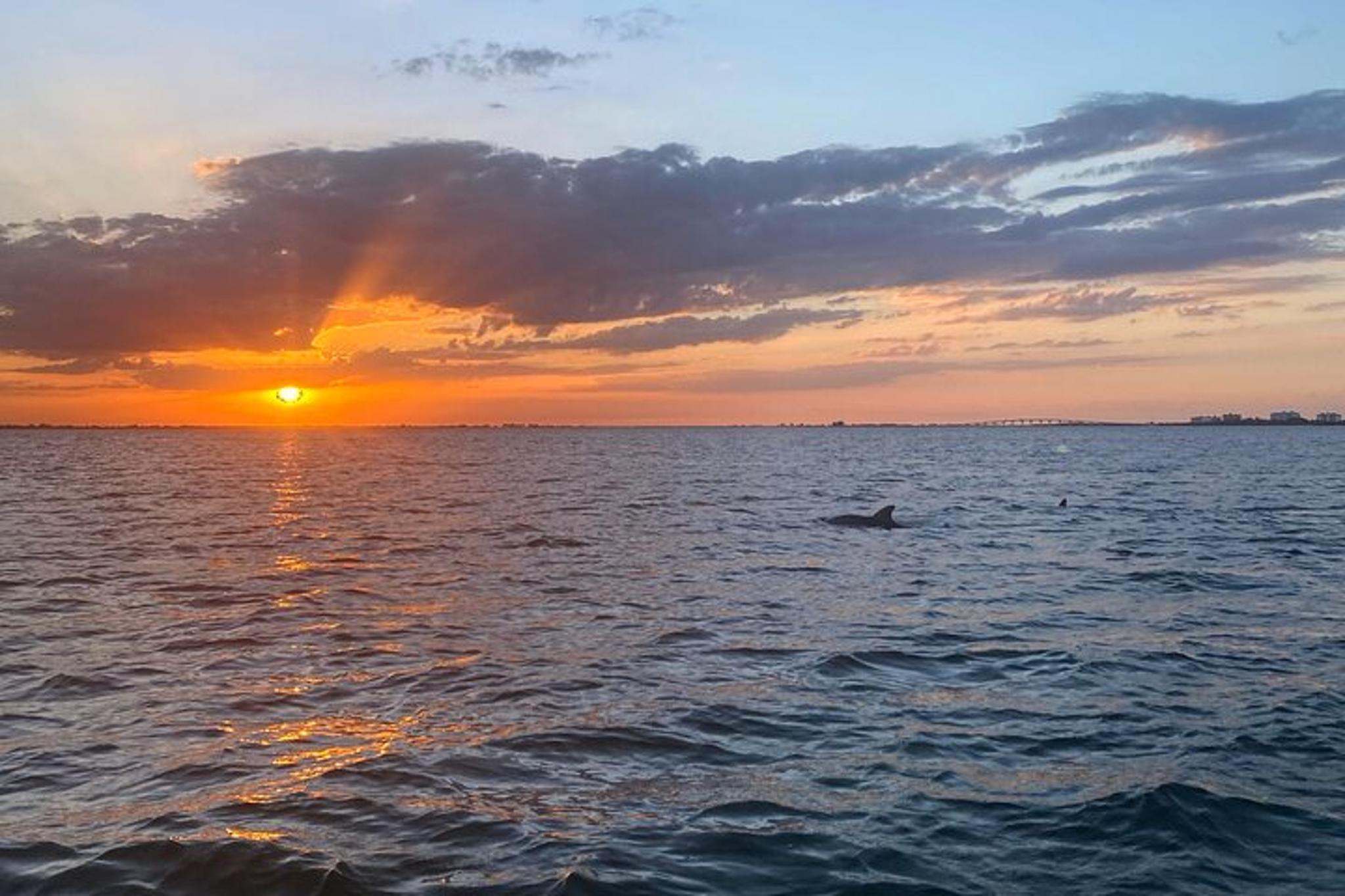 Fort Myers Beach Dolphin Cruise at Sunset 2 hr - Image 1
