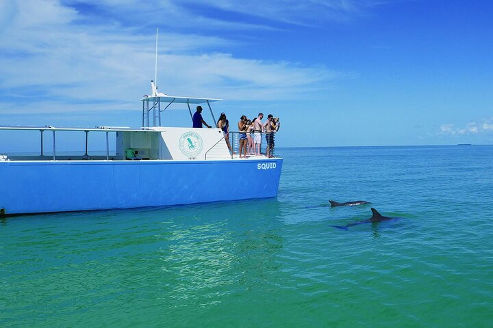 Key West Dolphin Watching and Guided Snorkeling Tour - Image 6