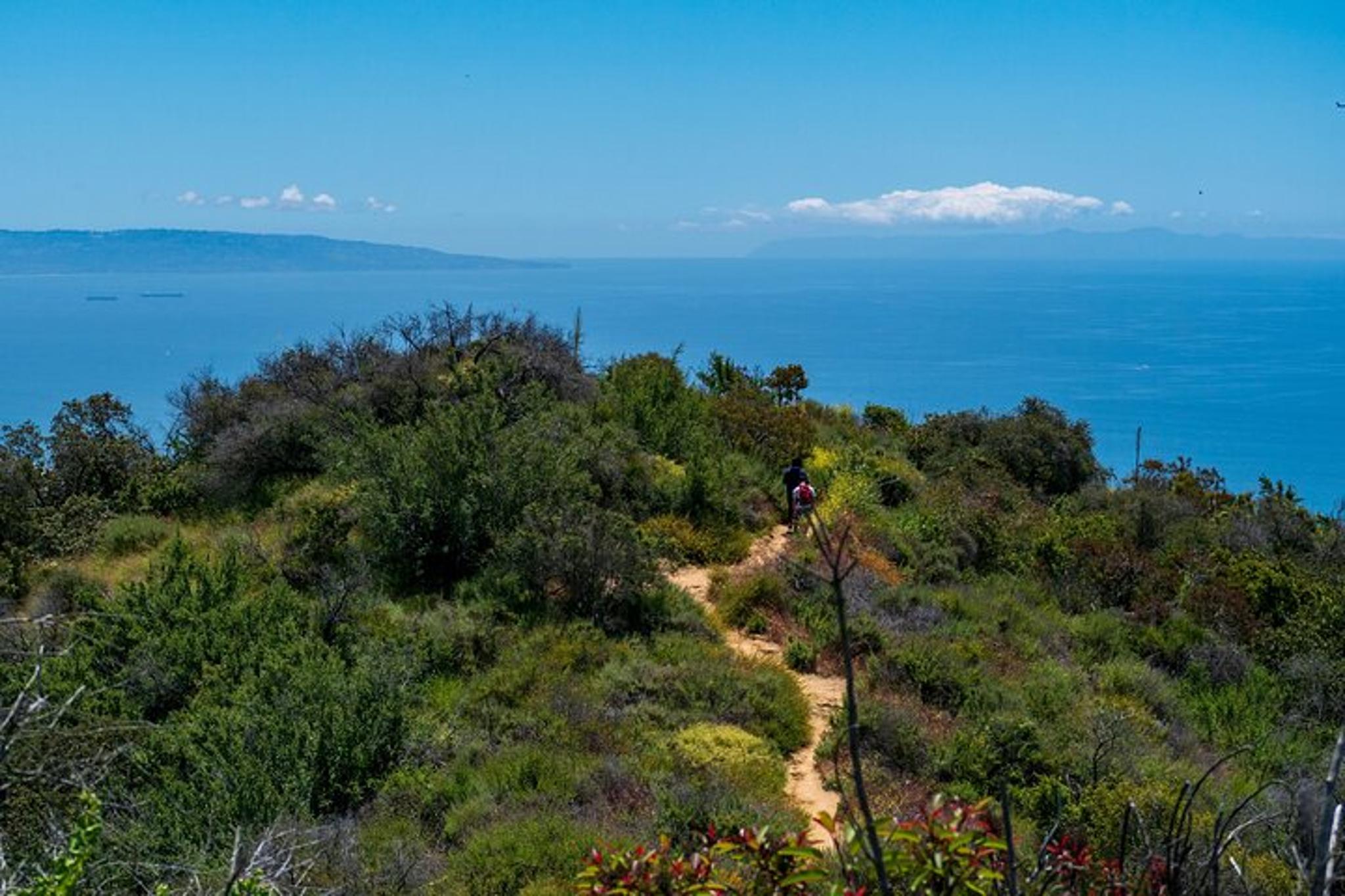 Los Angeles Hidden Hollywood Tour - Image 5