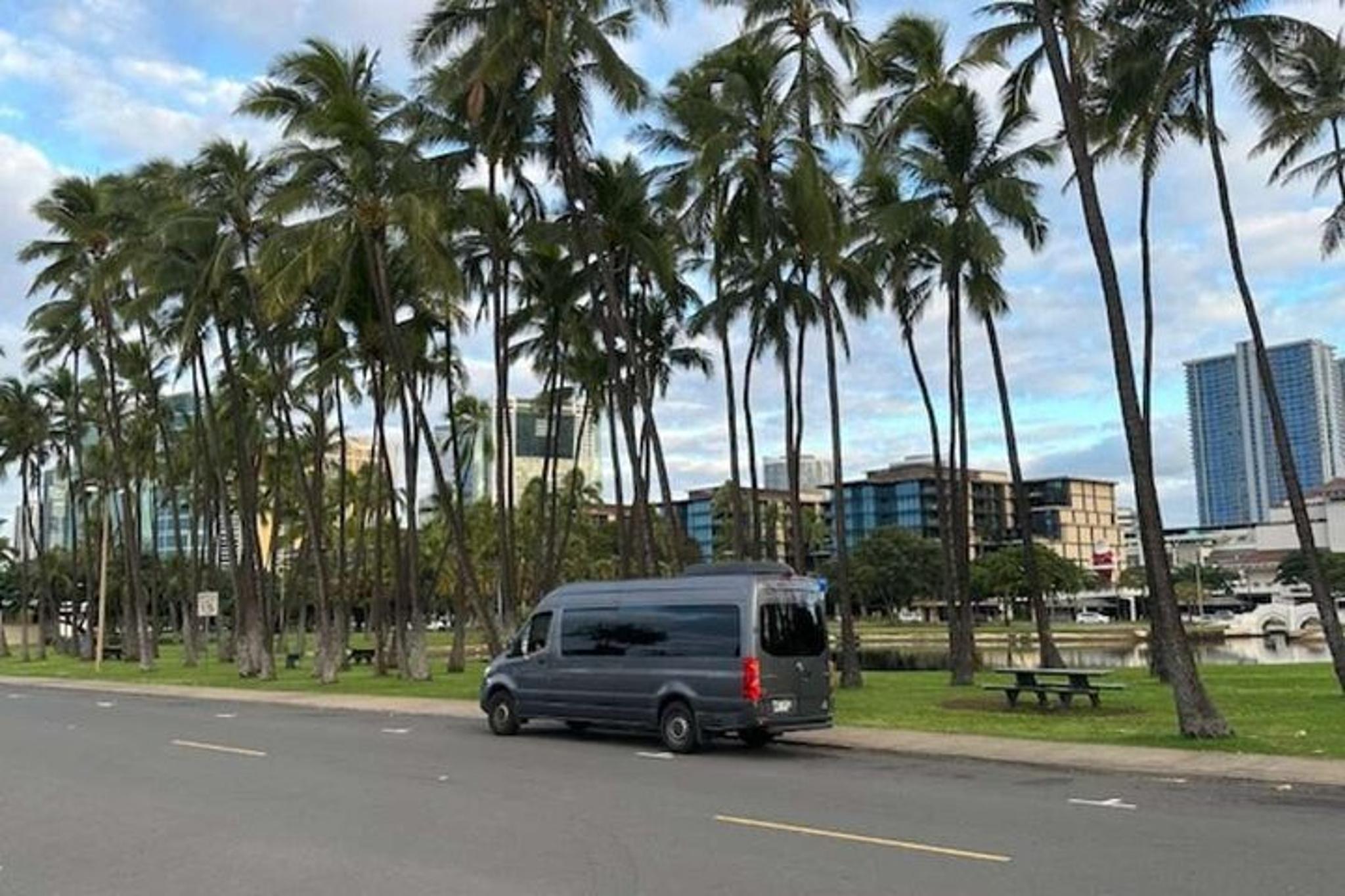 Maui Airport to Hotel Shared Transfer - Image 3