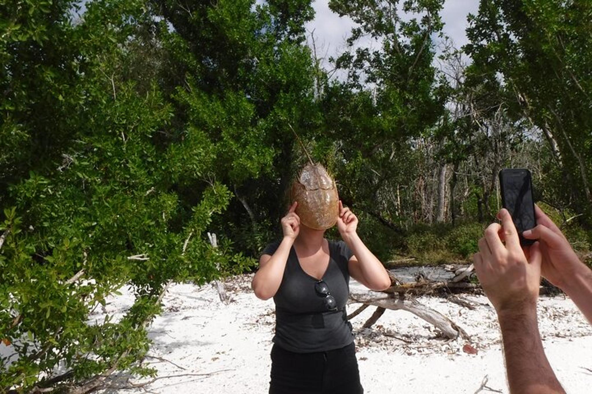 Marco Island Boat Excursion - Dolphins & Shelling Tour - Image 6