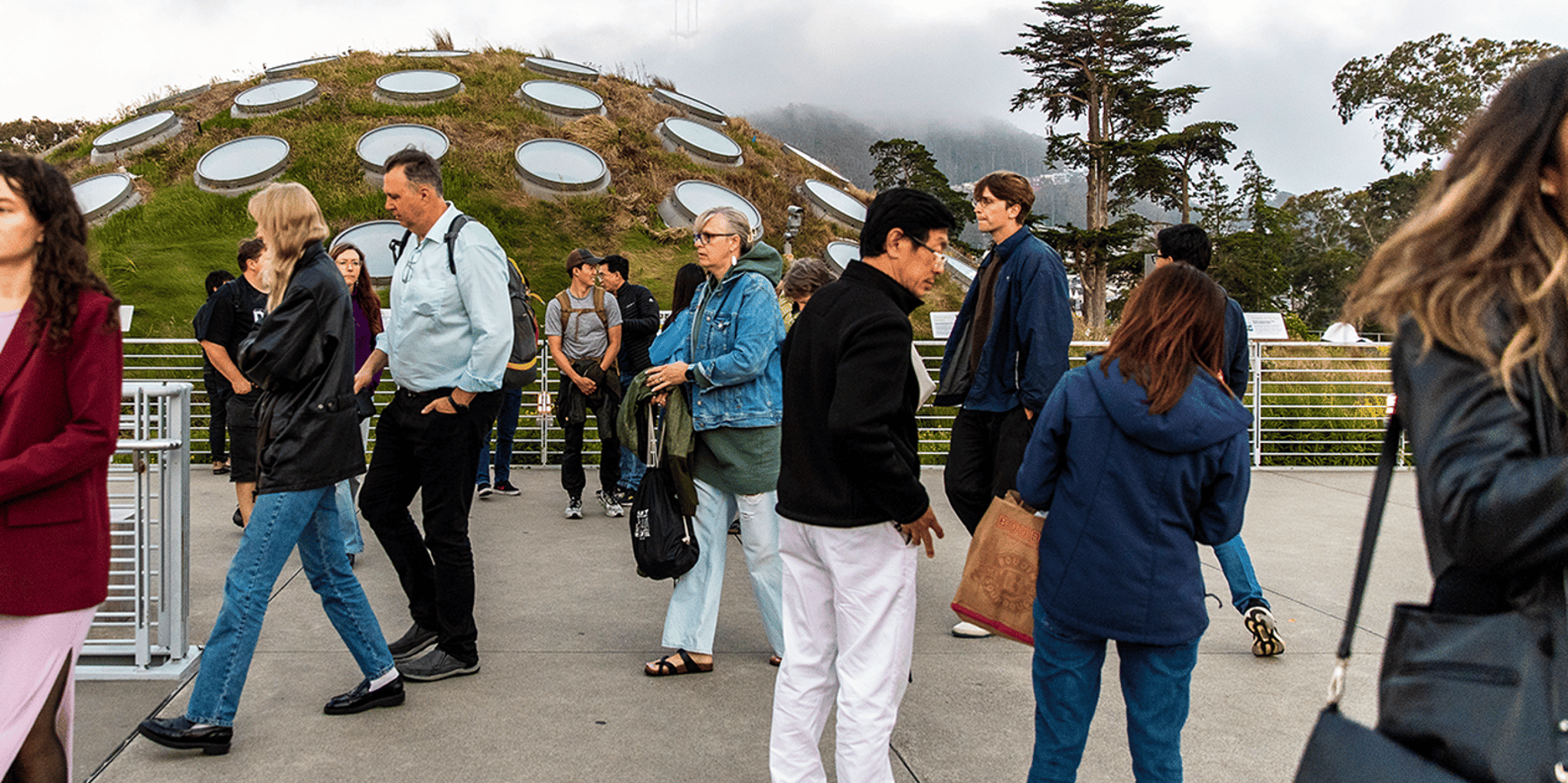 San Francisco NightLife Plus at California Academy of Sciences - Image 6