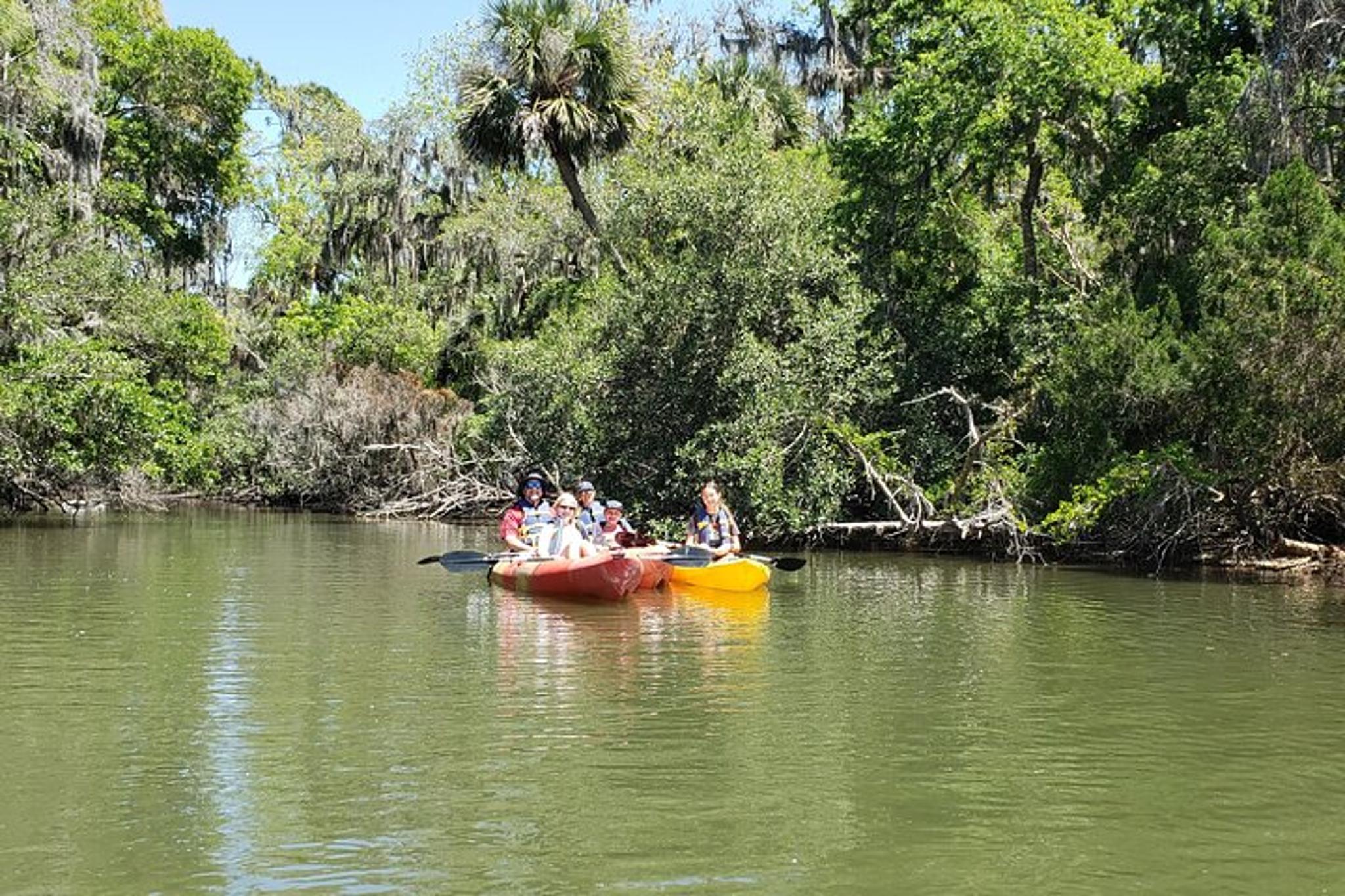 New Smyrna Beach Kayaking Ecotour - Image 3