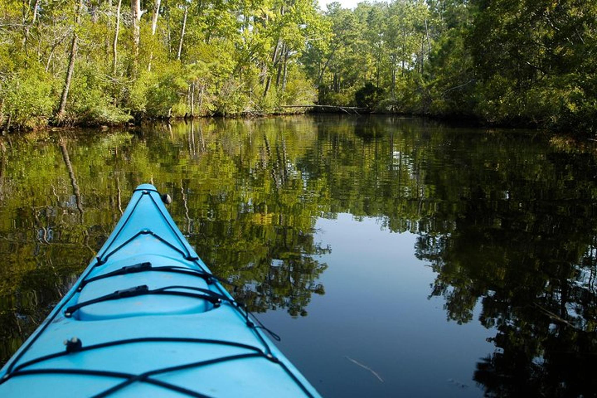 Kitty Hawk Maritime Forest Kayak Tour - Image 2