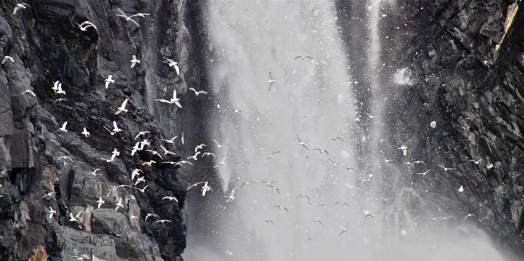 Anchorage Glacier Quest Cruise with Lunch 11 hr - Image 6