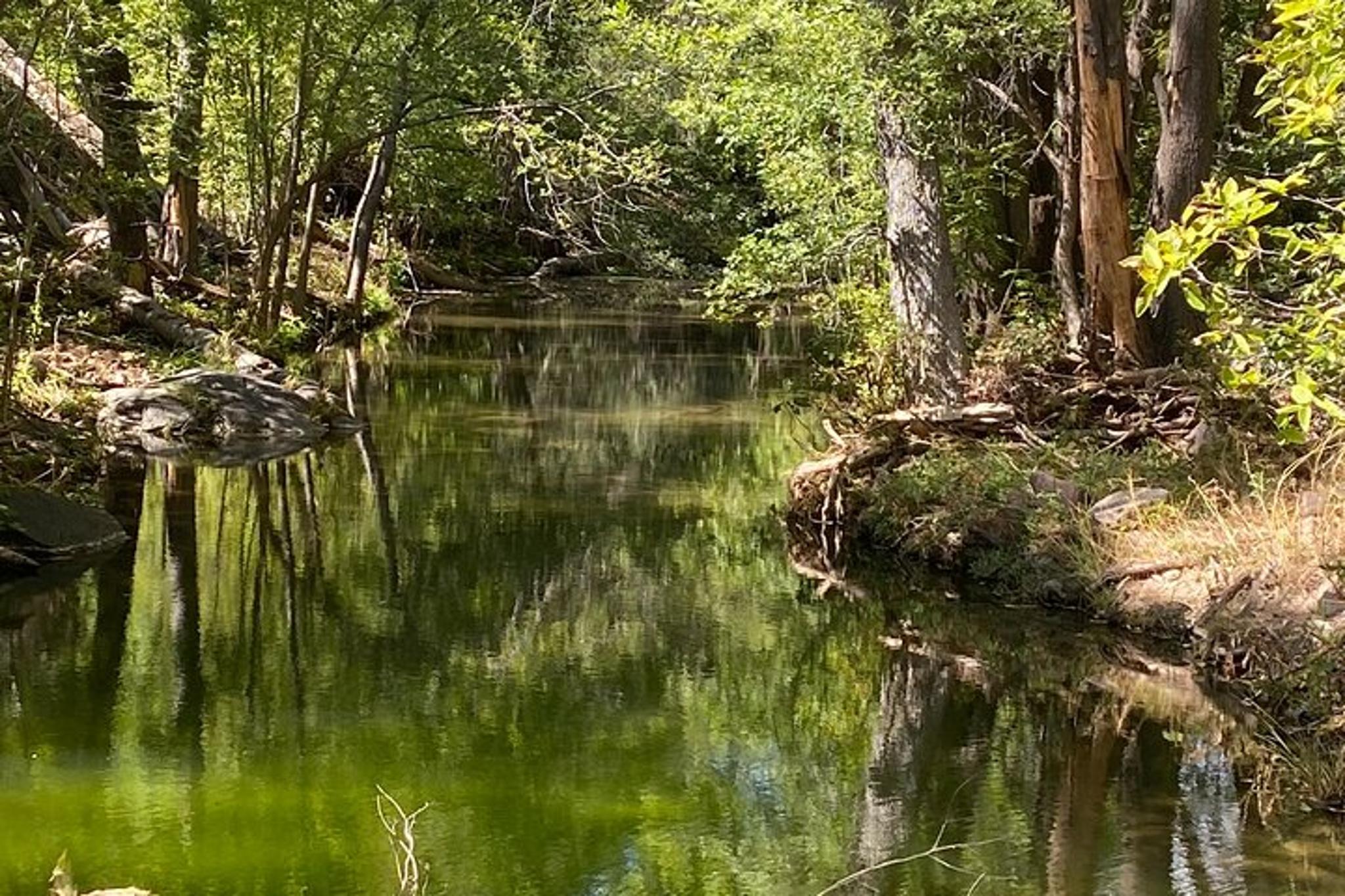 Chrysotile Off-Road and Hiking Adventure - Image 2