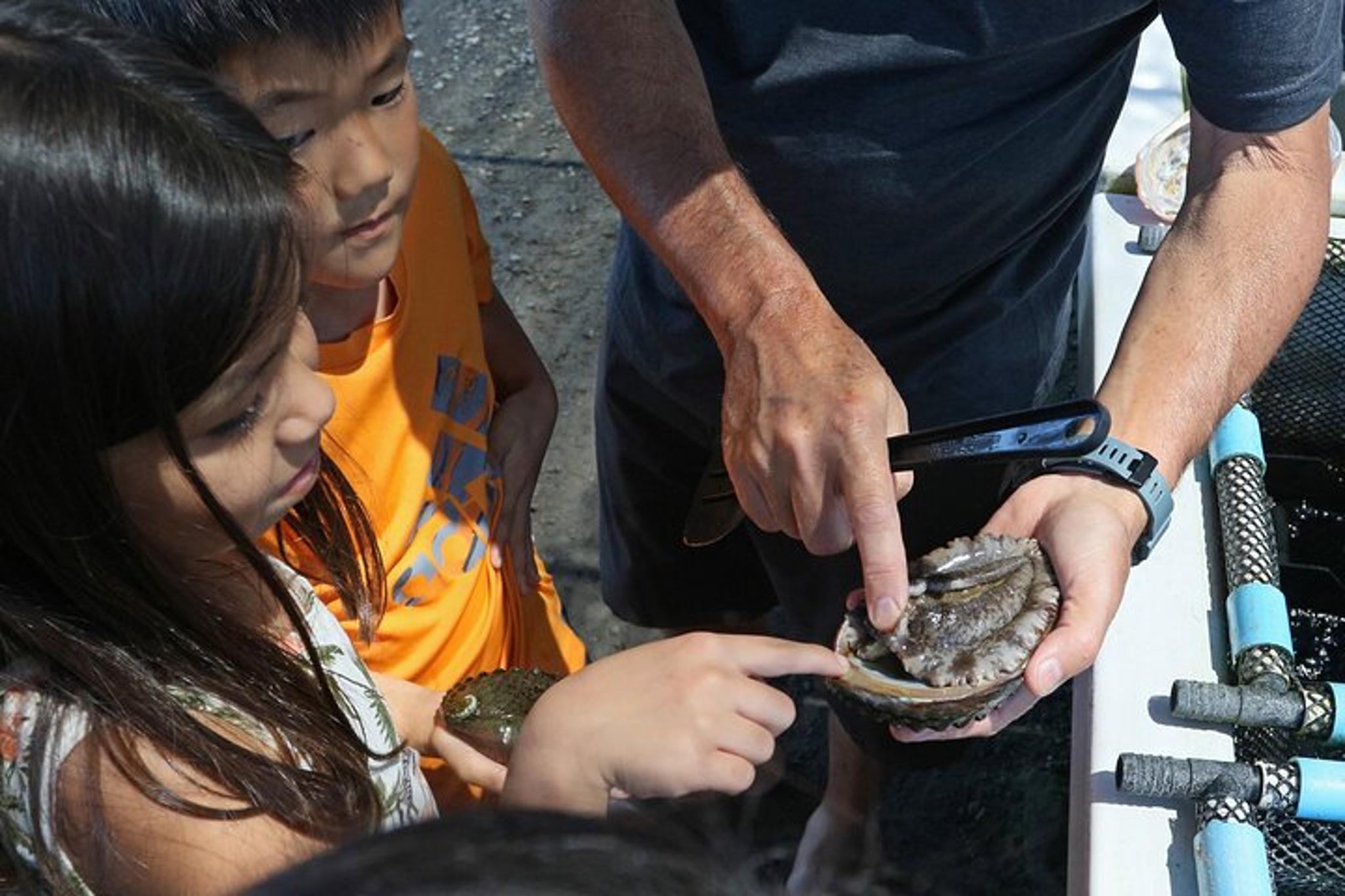 Big Island Abalone Farm Tour - Image 4