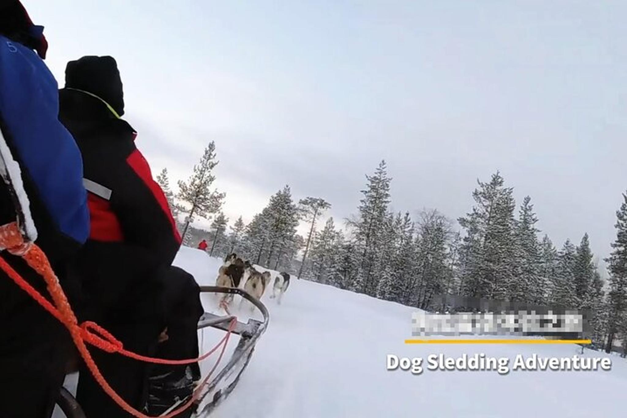 Fairbanks Dog Sled and ATV Adventure - Image 5