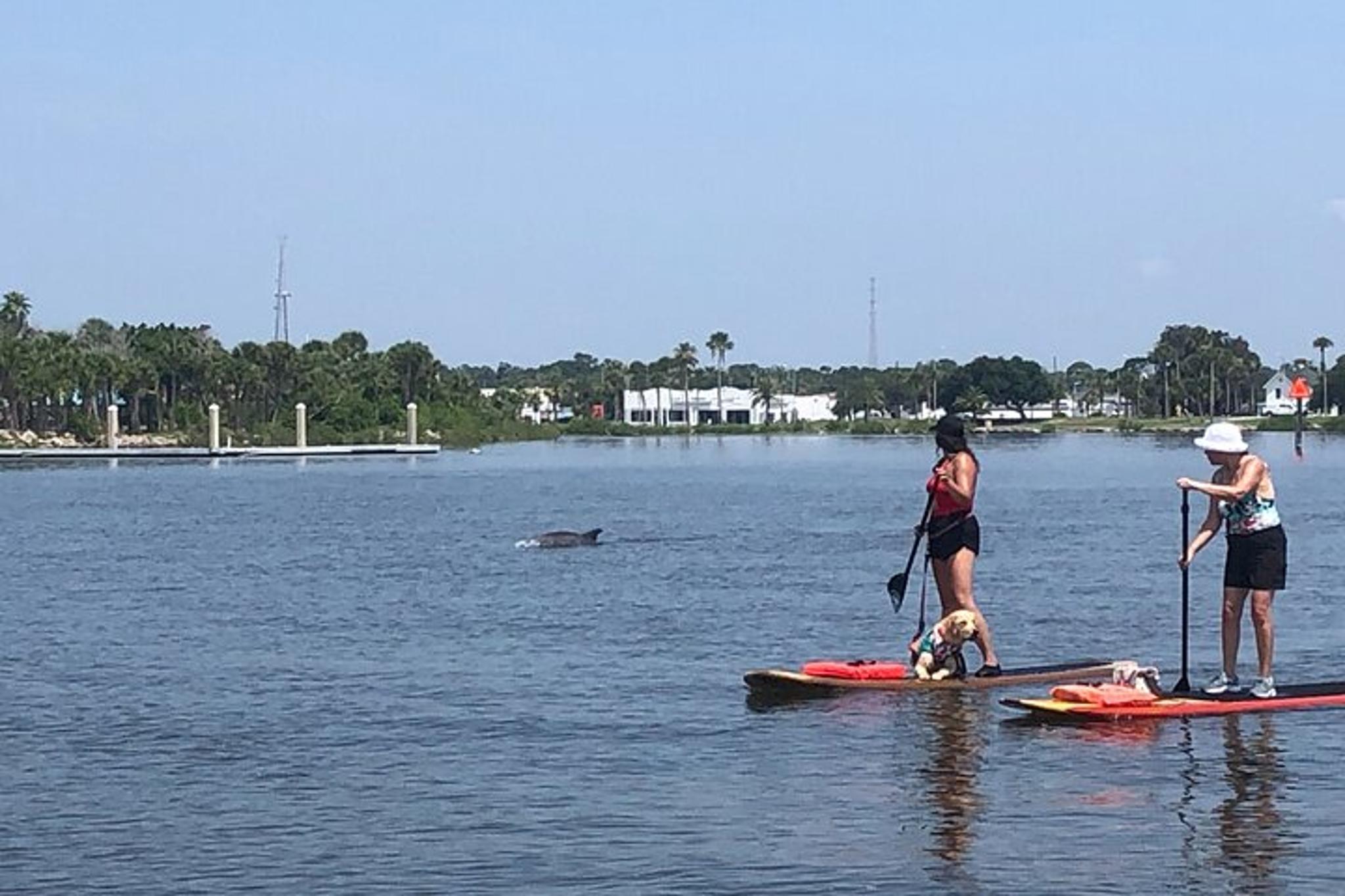 Daytona Paddle Board Rental - Image 4