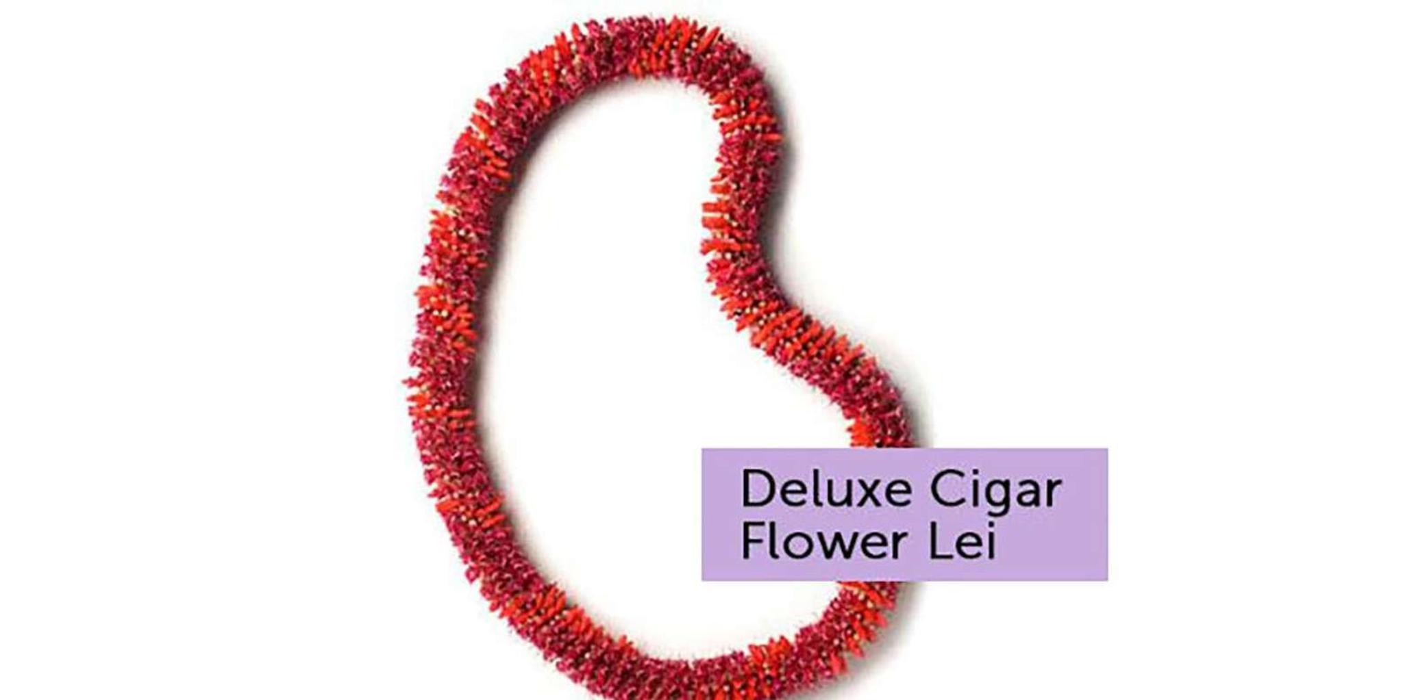 Maui Airport Lei Greeting - Image 6