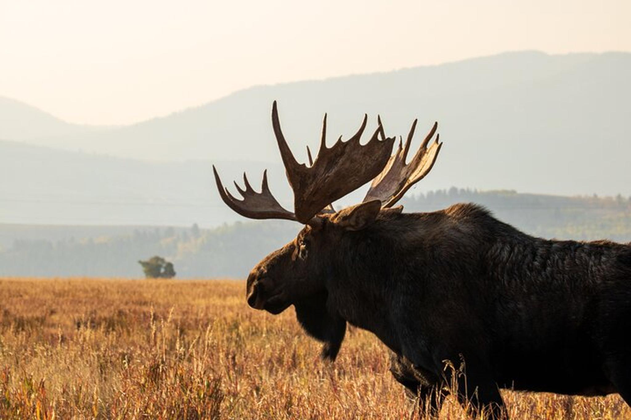 Grand Teton Private Day Tour - Image 3
