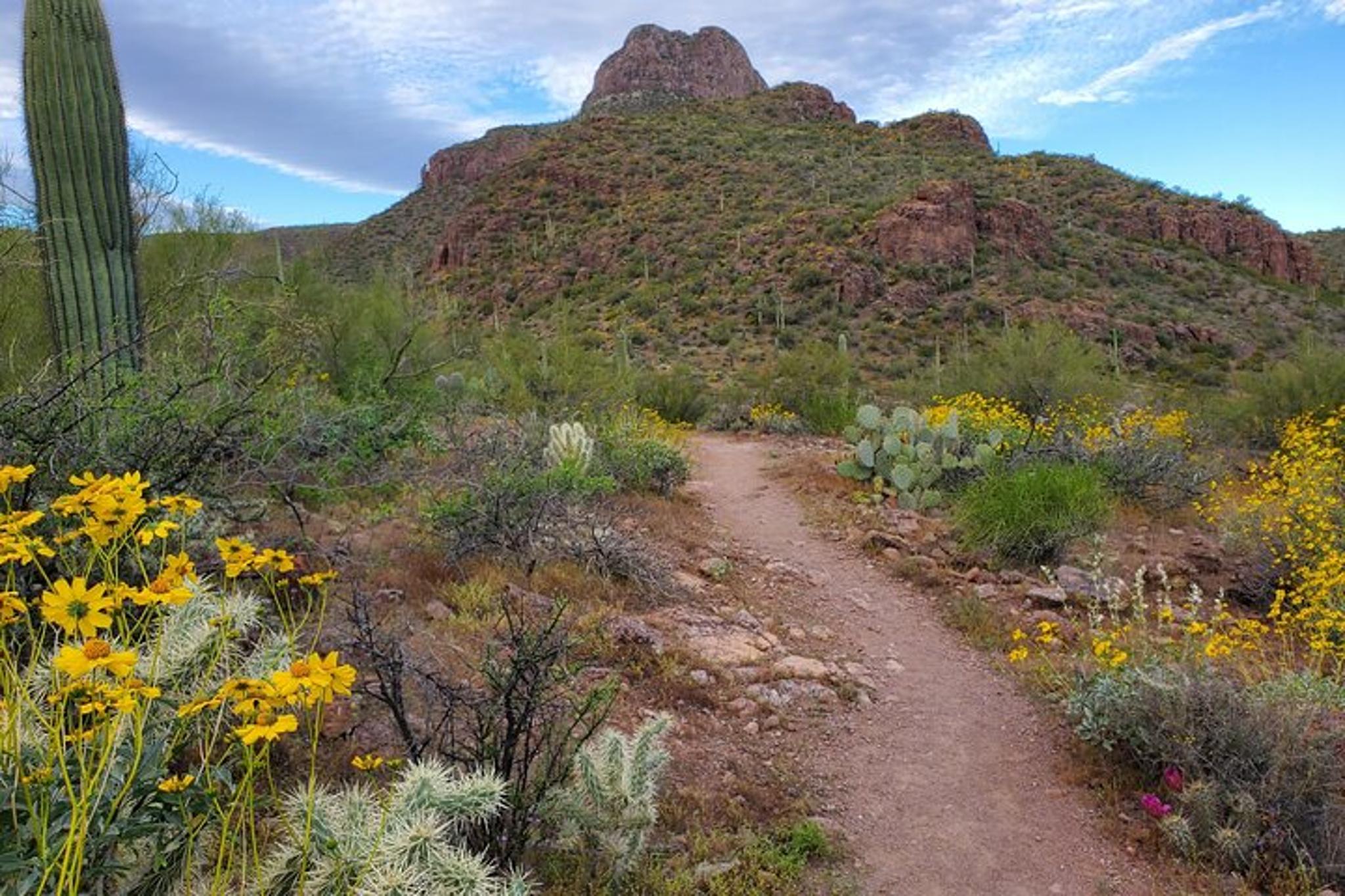 Tucson Self-Guided Driving Audio Tour - Image 5