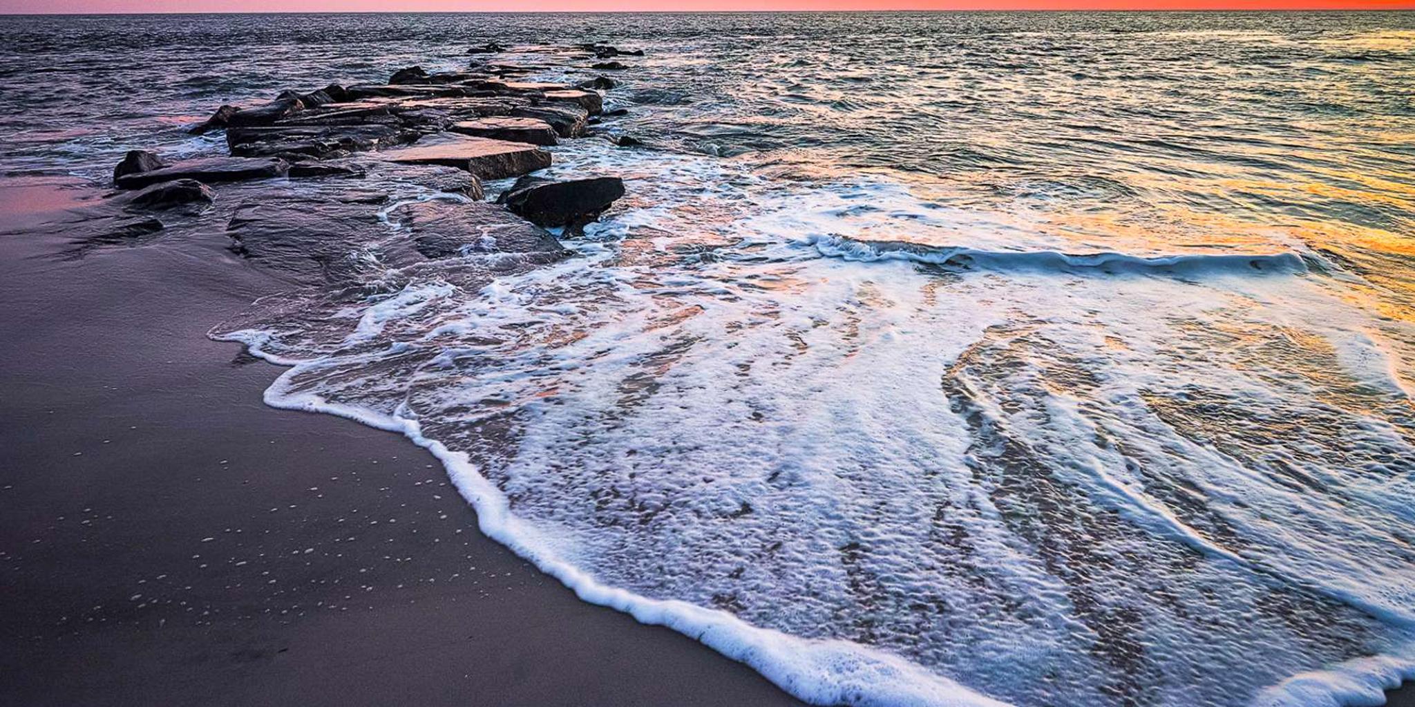 Cape May Dinner Cruise with Dolphin Watching