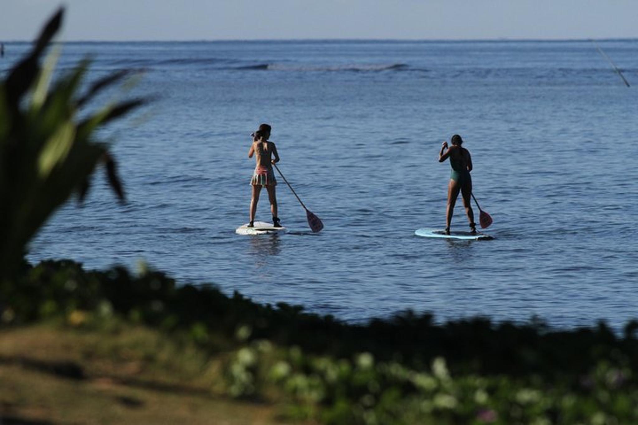 Maui Surf Lesson 90 Min - Image 3