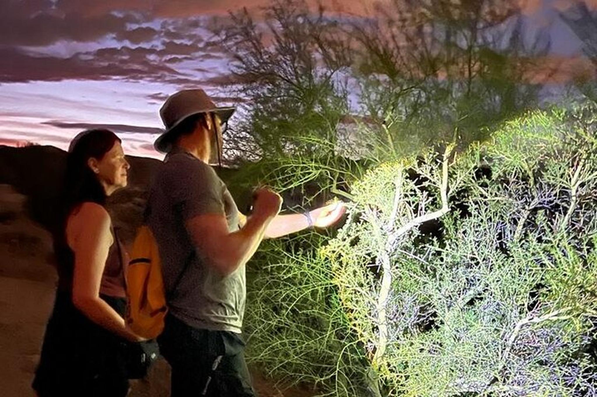 Phoenix Desert Hike at Sunrise or Sunset 2 hr - Image 2