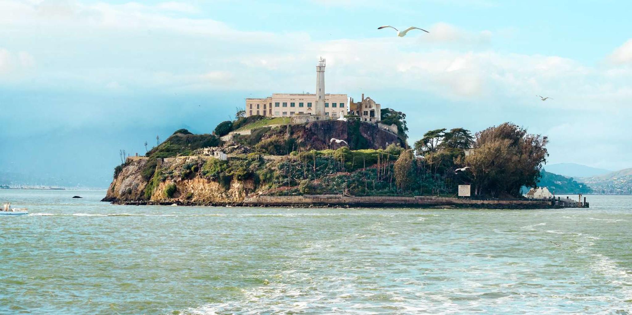 San Francisco Hop-On Hop-Off Bus & Alcatraz Tour - Image 2