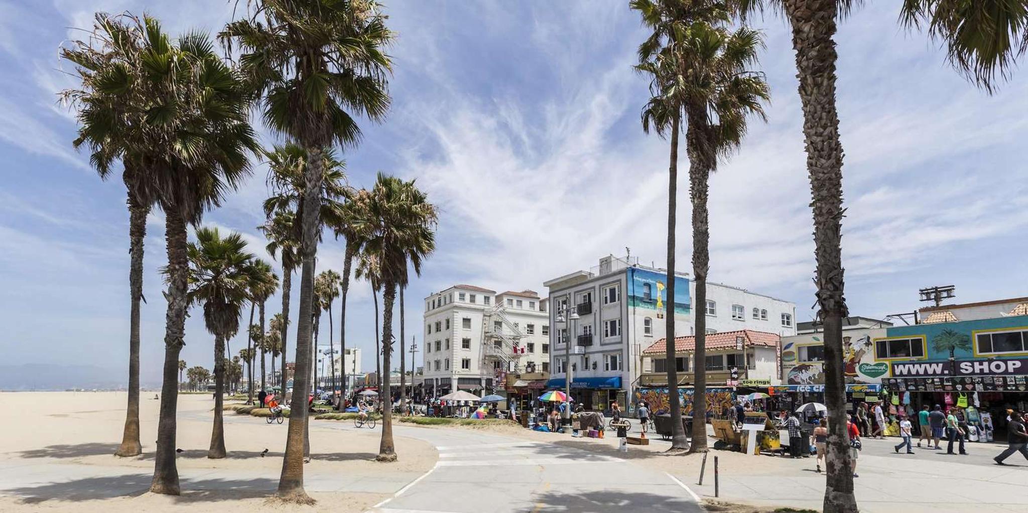 Los Angeles Private Beach Tour - Image 5