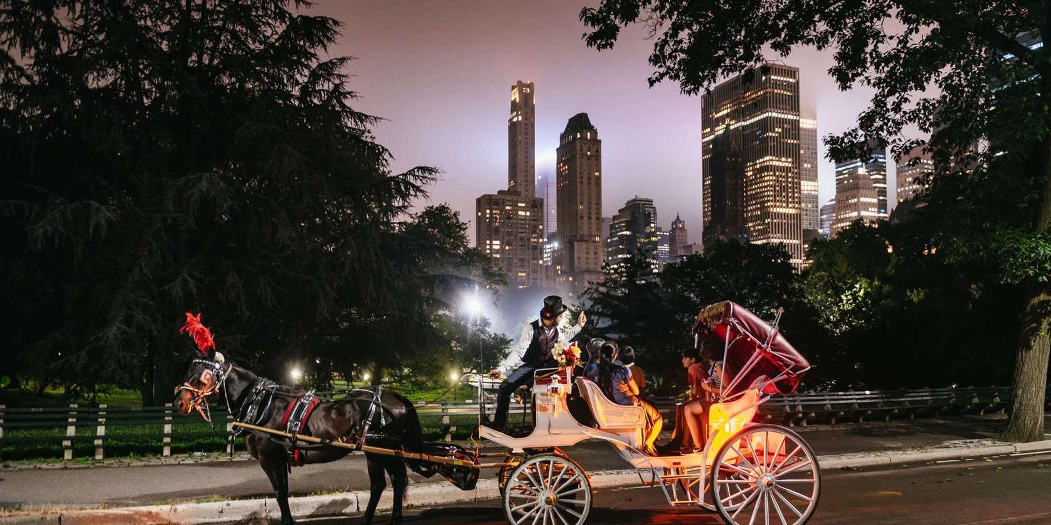New York City Carriage Ride through Central Park and Times Square