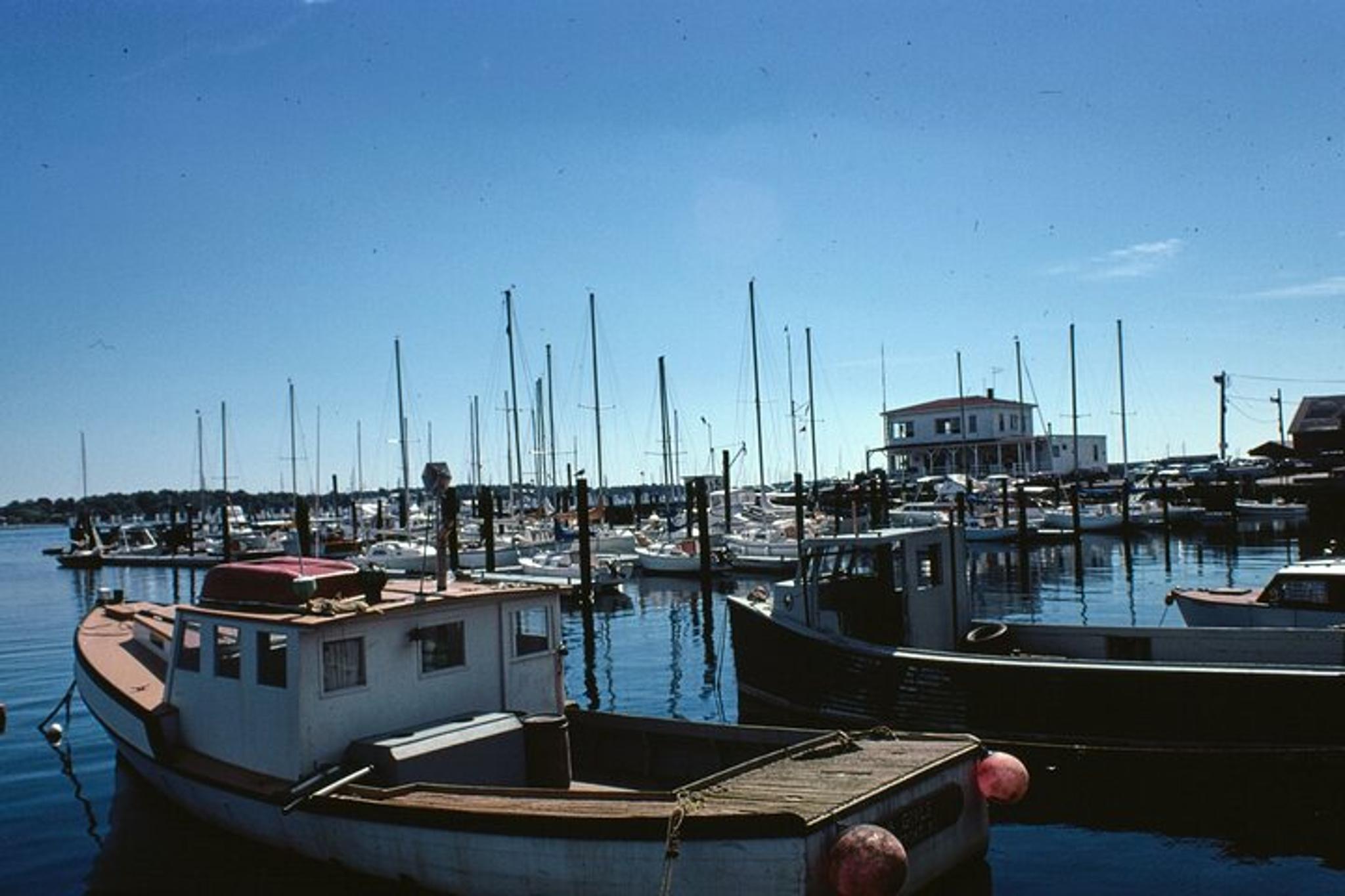 Newport Gilded Age Self-Guided Driving Tour - Image 4