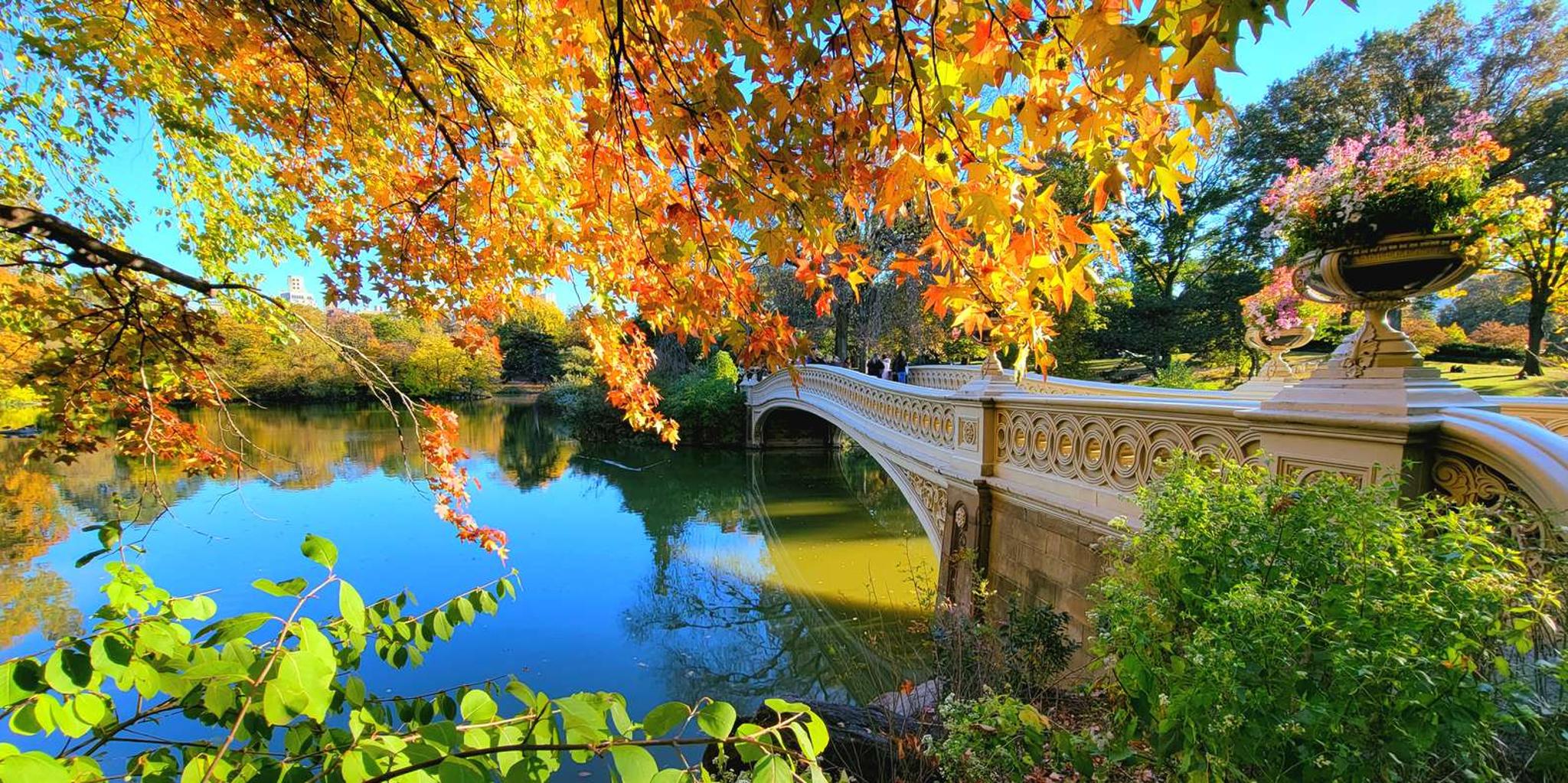 New York Central Park Walking Tour - Image 4